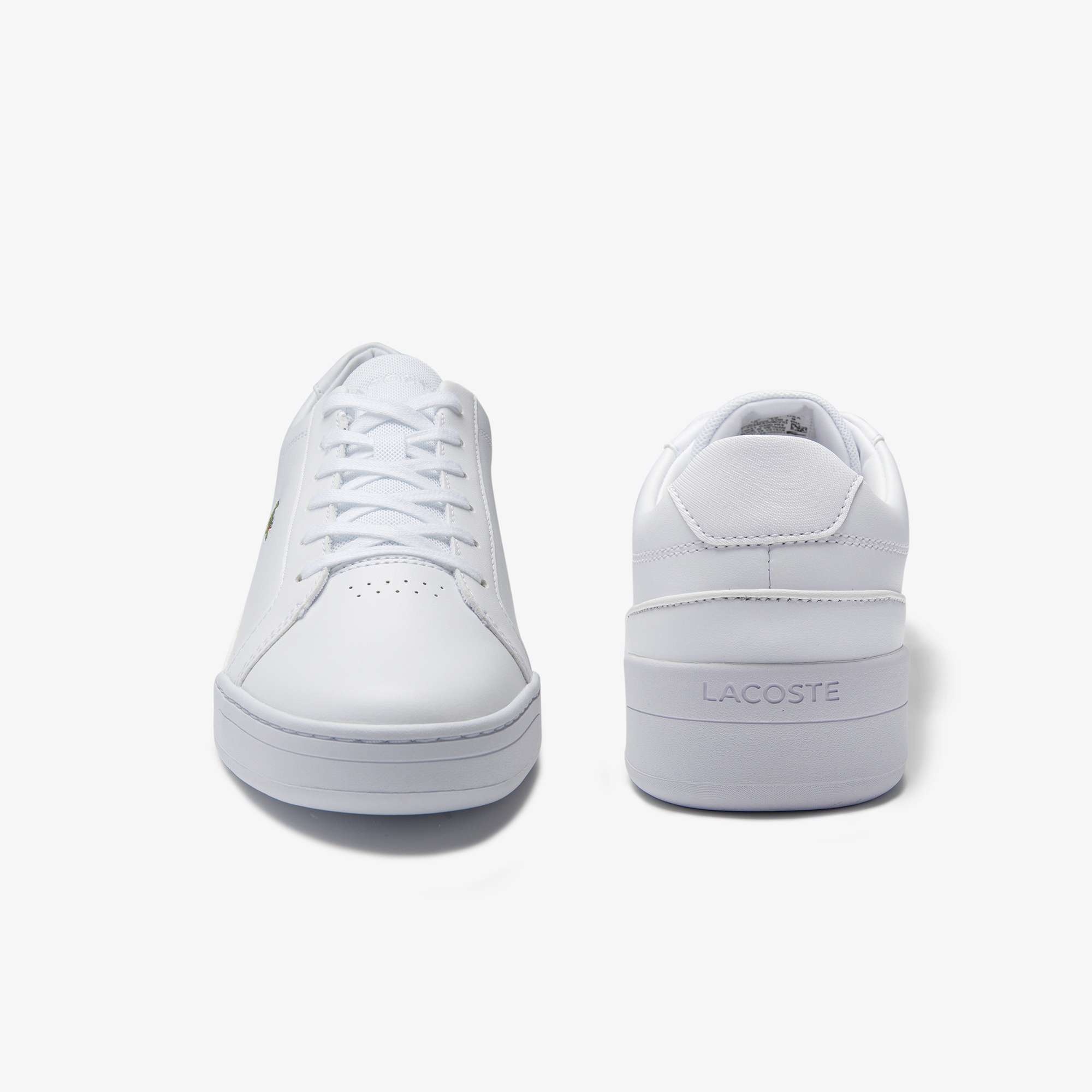 Lacoste SPORT Carnaby Erkek Beyaz Sneaker