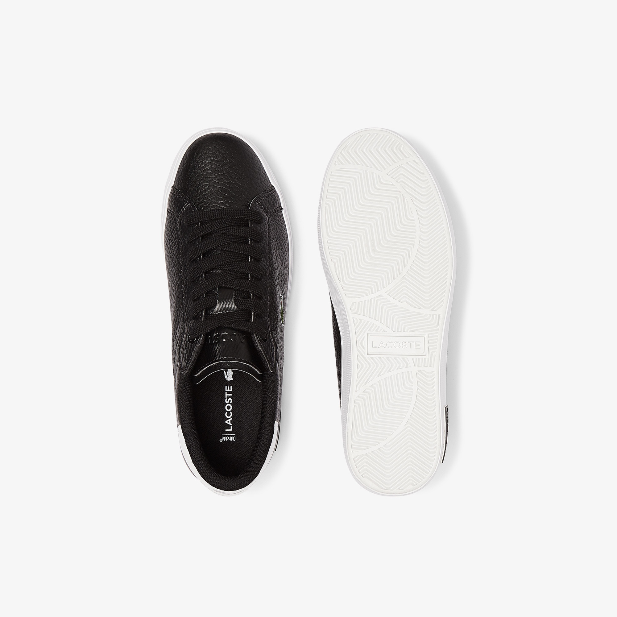 Lacoste Powercourt Kadın Siyah Sneaker
