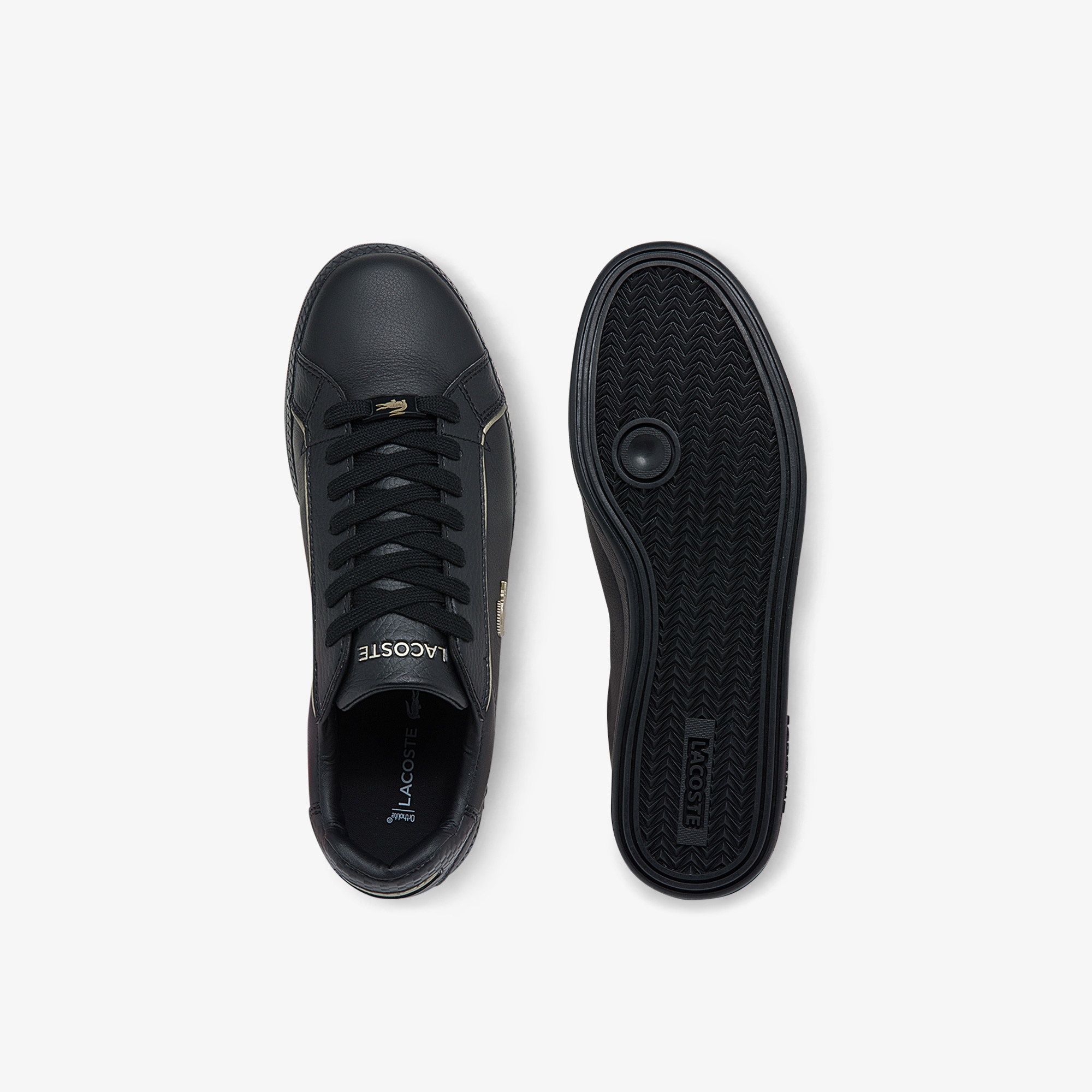 Lacoste SPORT Graduate Kadın Siyah Sneaker