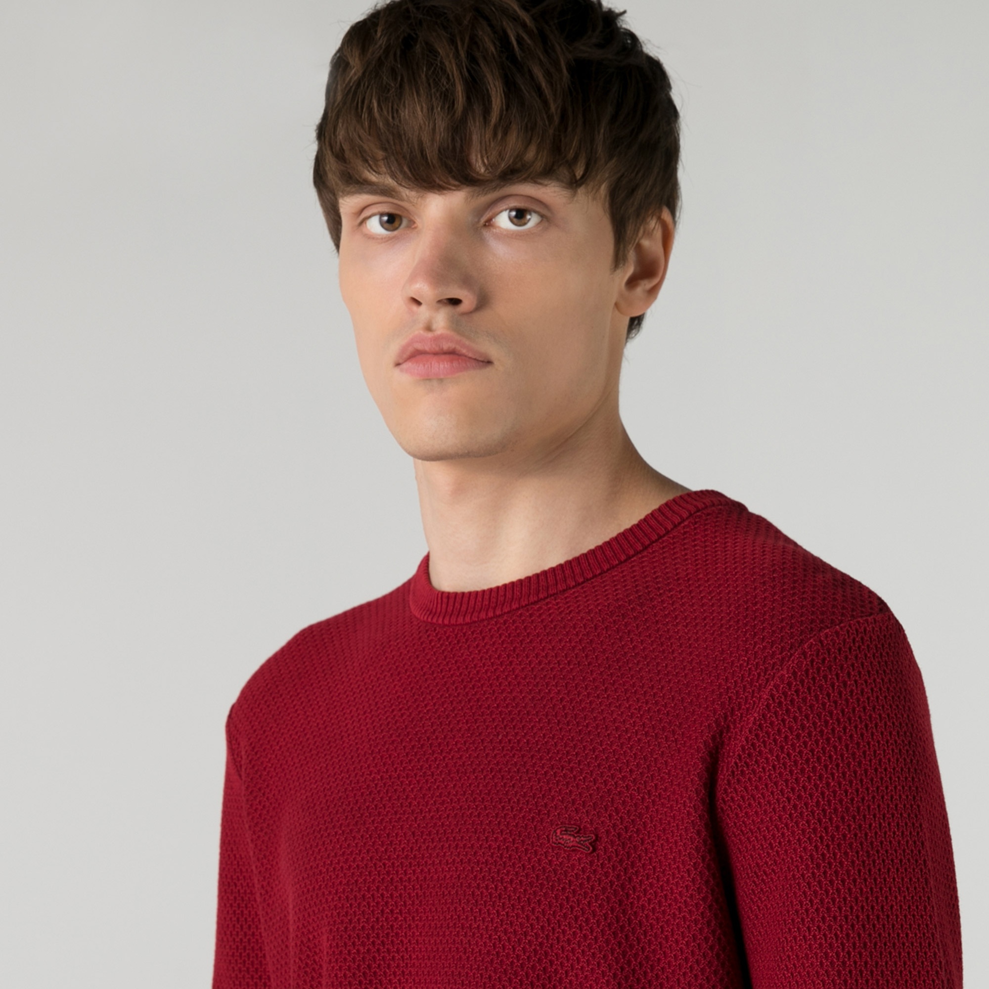 Lacoste Erkek Regular Fit Bisiklet Yaka Bordo Kazak