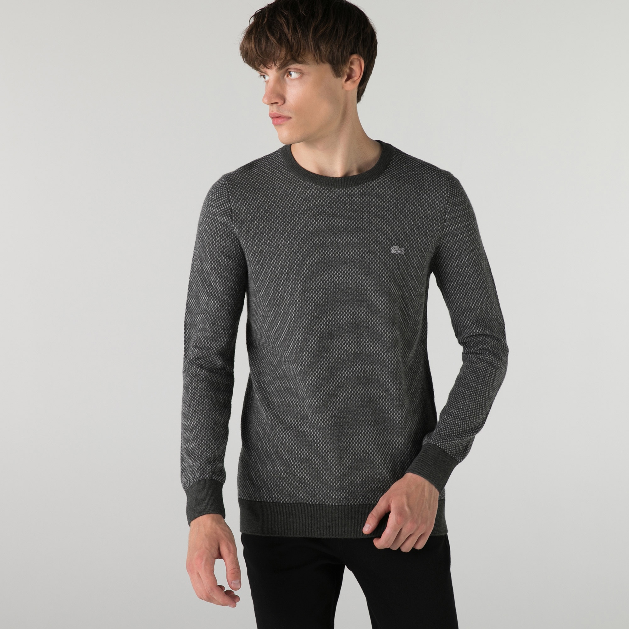 Lacoste Erkek Regular Fit Bisiklet Yaka Desenli Gri Kazak