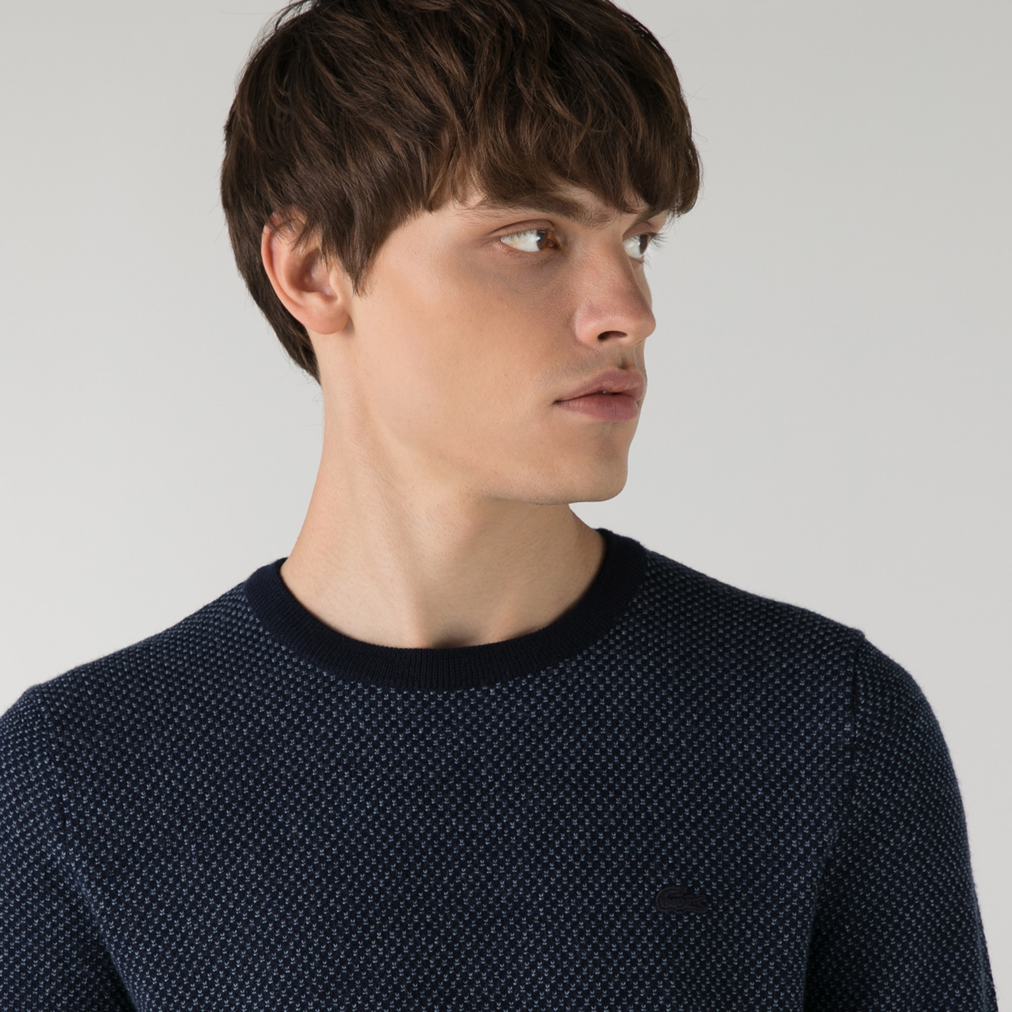 Lacoste Erkek Regular Fit Bisiklet Yaka Lacivert Kazak