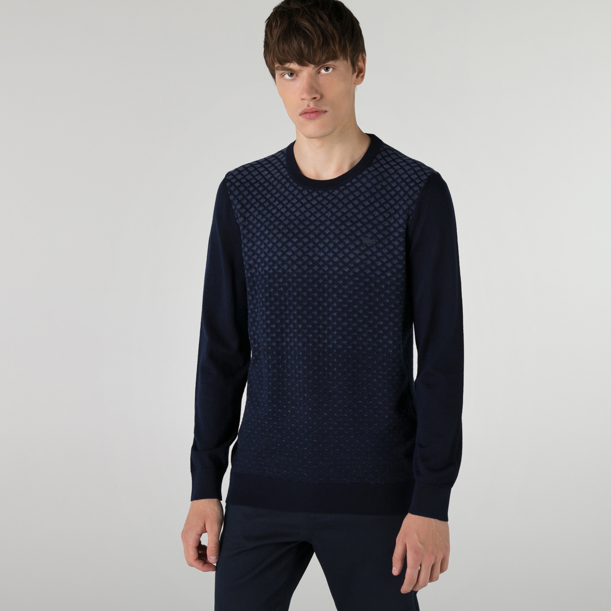 Lacoste Erkek Regular Fit Bisiklet Yaka Desenli Lacivert Kazak