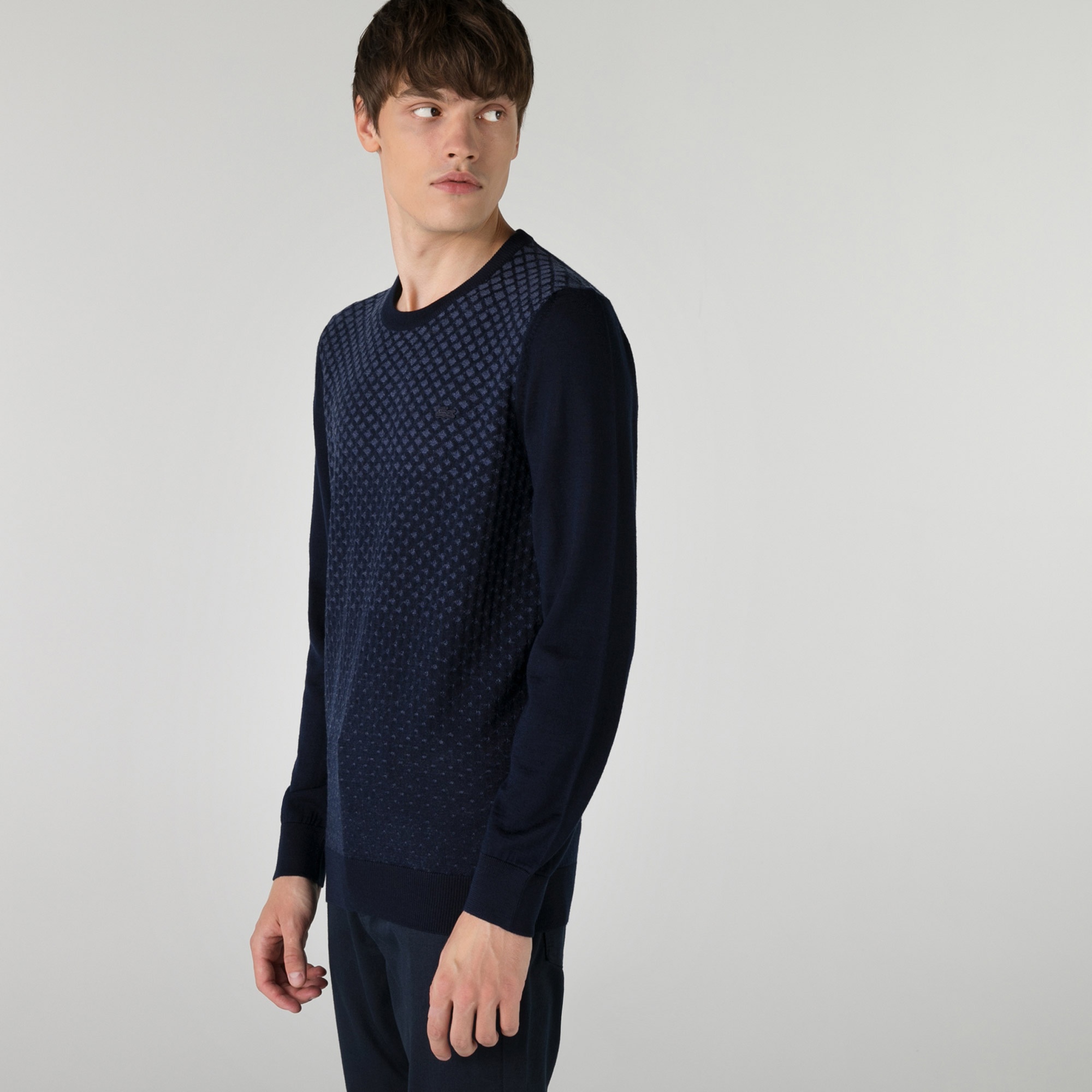 Lacoste Erkek Regular Fit Bisiklet Yaka Desenli Lacivert Kazak