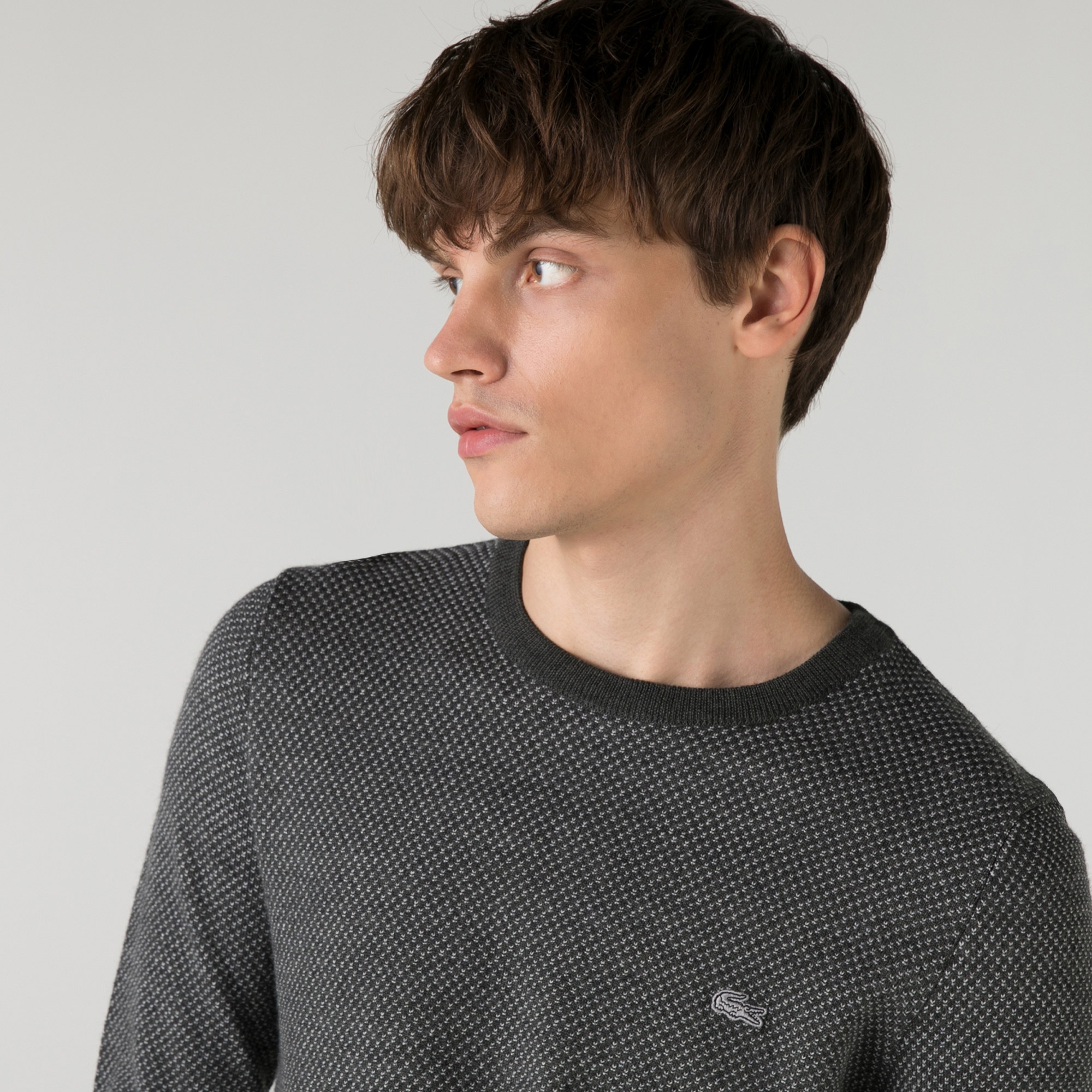 Lacoste Erkek Regular Fit Bisiklet Yaka Desenli Gri Kazak