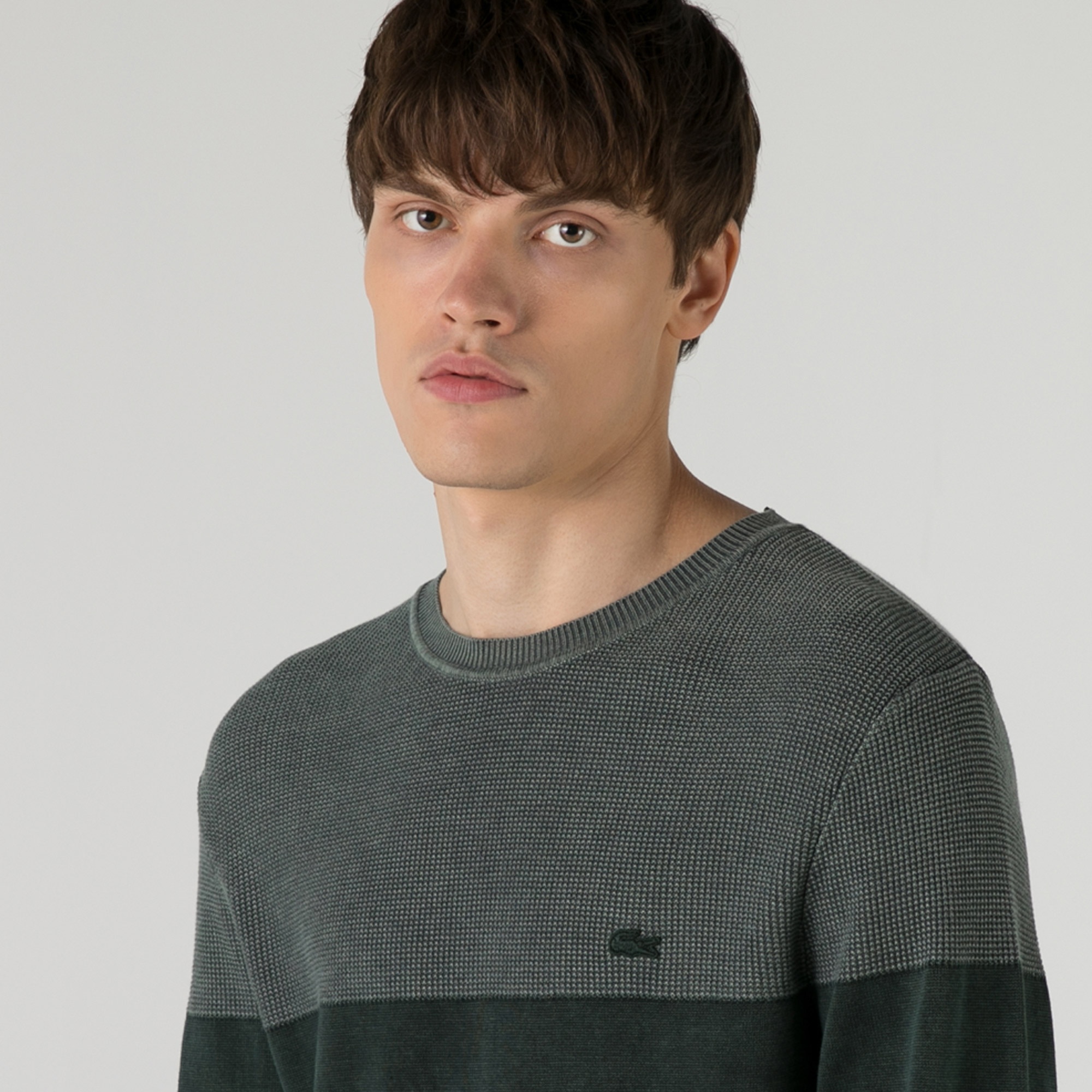 Lacoste Erkek Regular Fit Bisiklet Yaka Renk Bloklu Yeşil Kazak