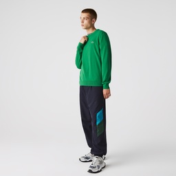 Lacoste Erkek Regular Fit Bisiklet Yaka Yeşil Kazak Yeşil