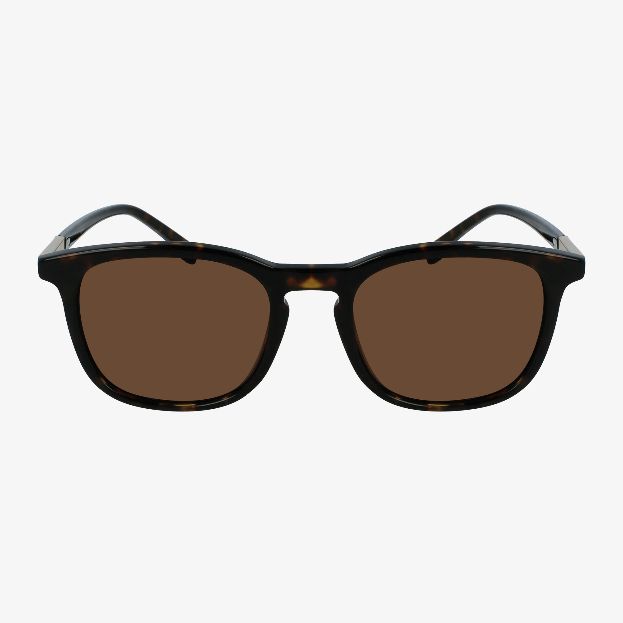 Lacoste Erkek Kahverengi Güneş Gözlüğü