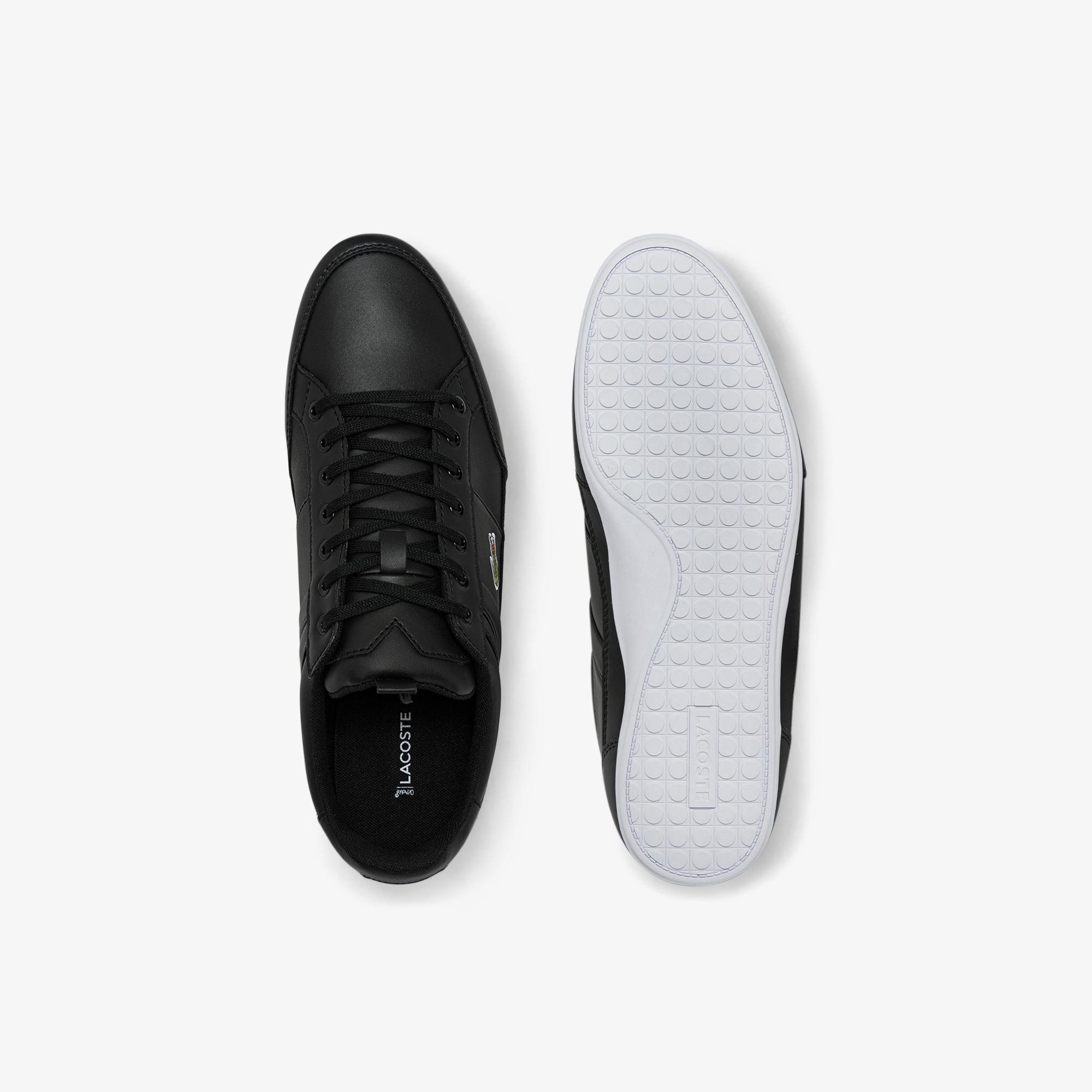 Lacoste Chaymon Erkek Siyah Sneaker