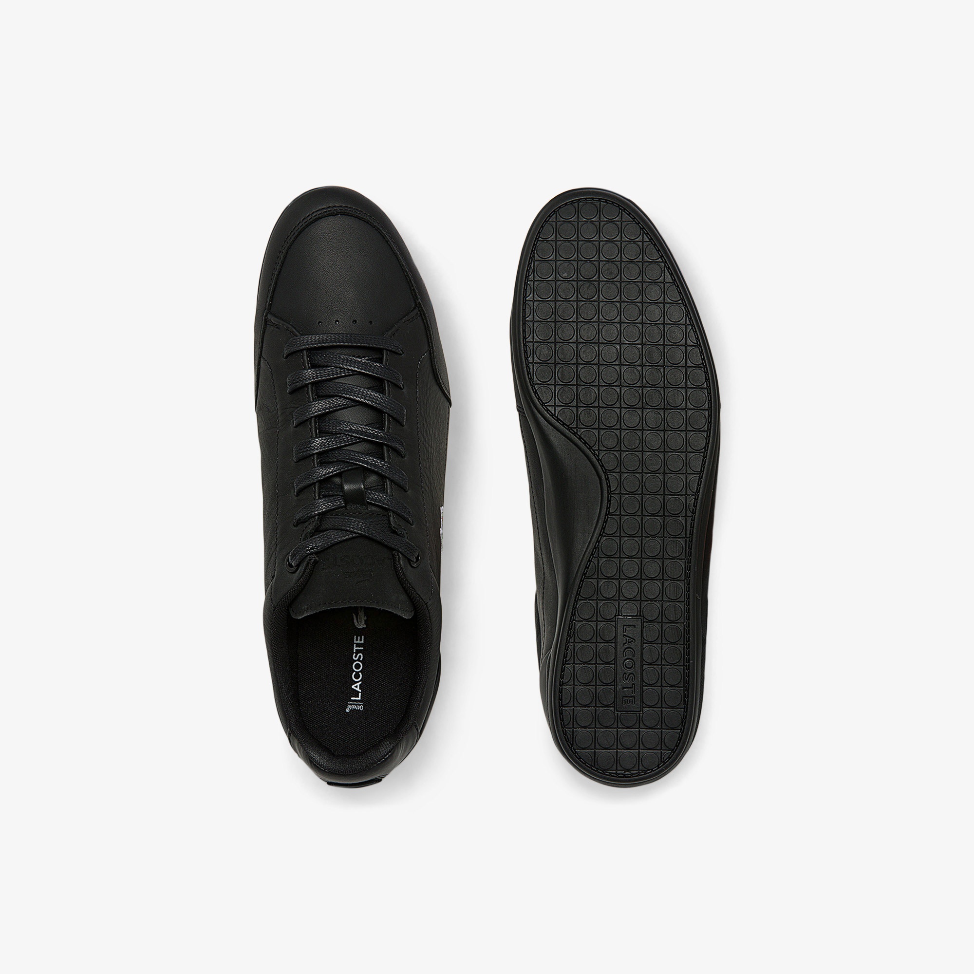 Lacoste Chaymon Erkek Siyah Sneaker