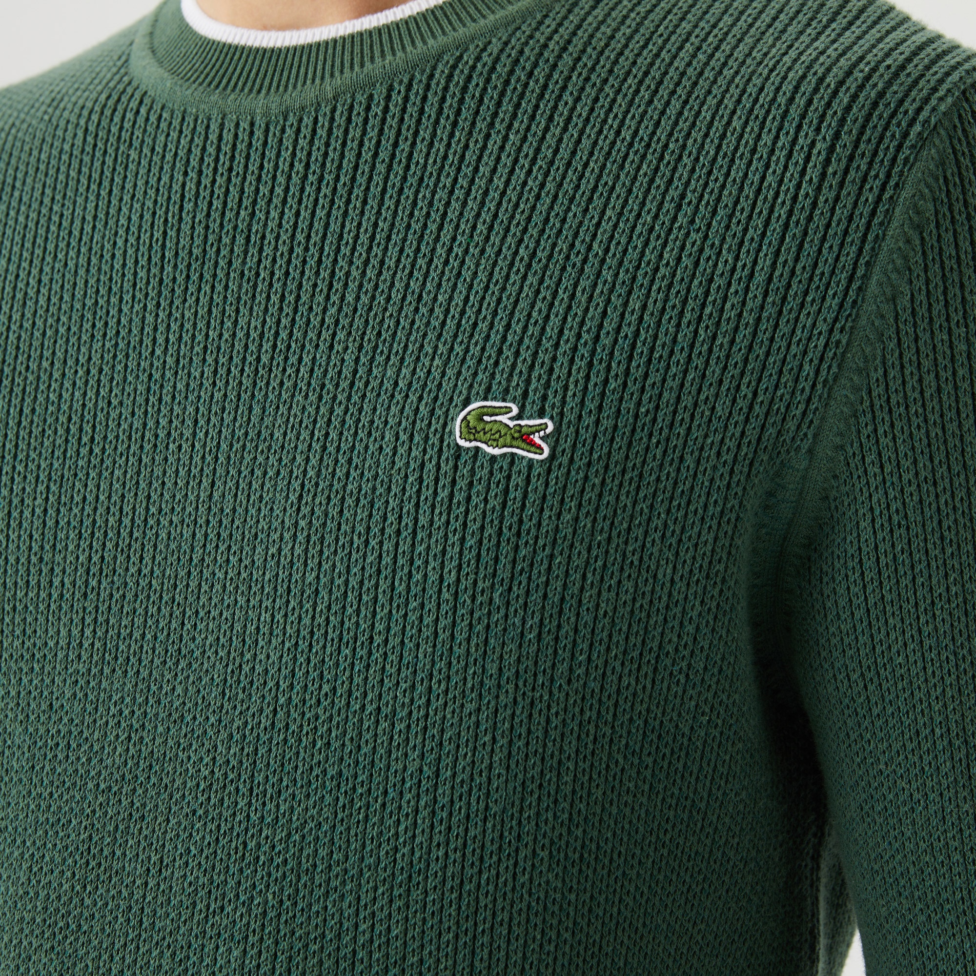 Lacoste Erkek Regular Fit Bisiklet Yaka Yeşil Kazak