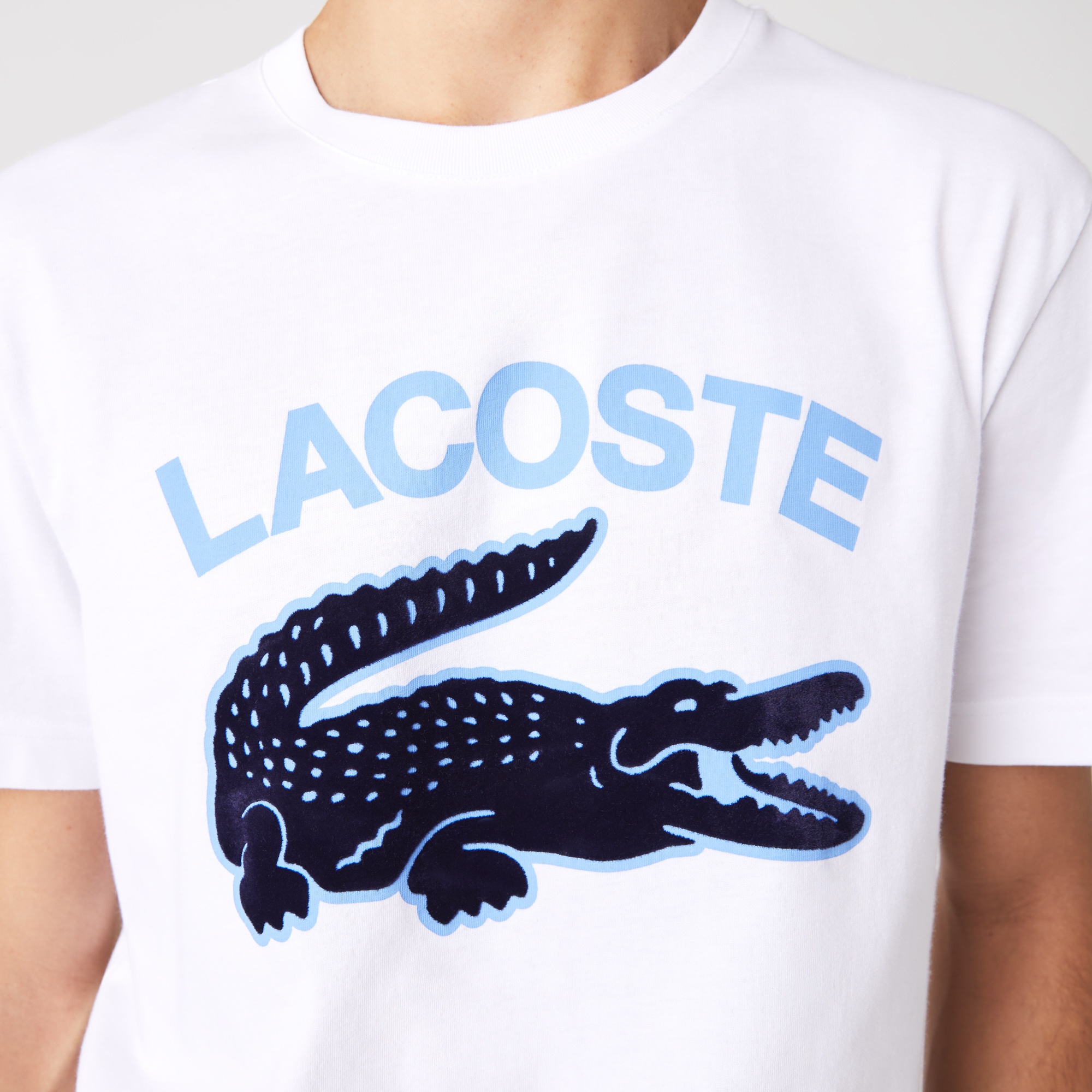 Lacoste Erkek Regular Fit Bisiklet Yaka Baskılı Beyaz T-Shirt