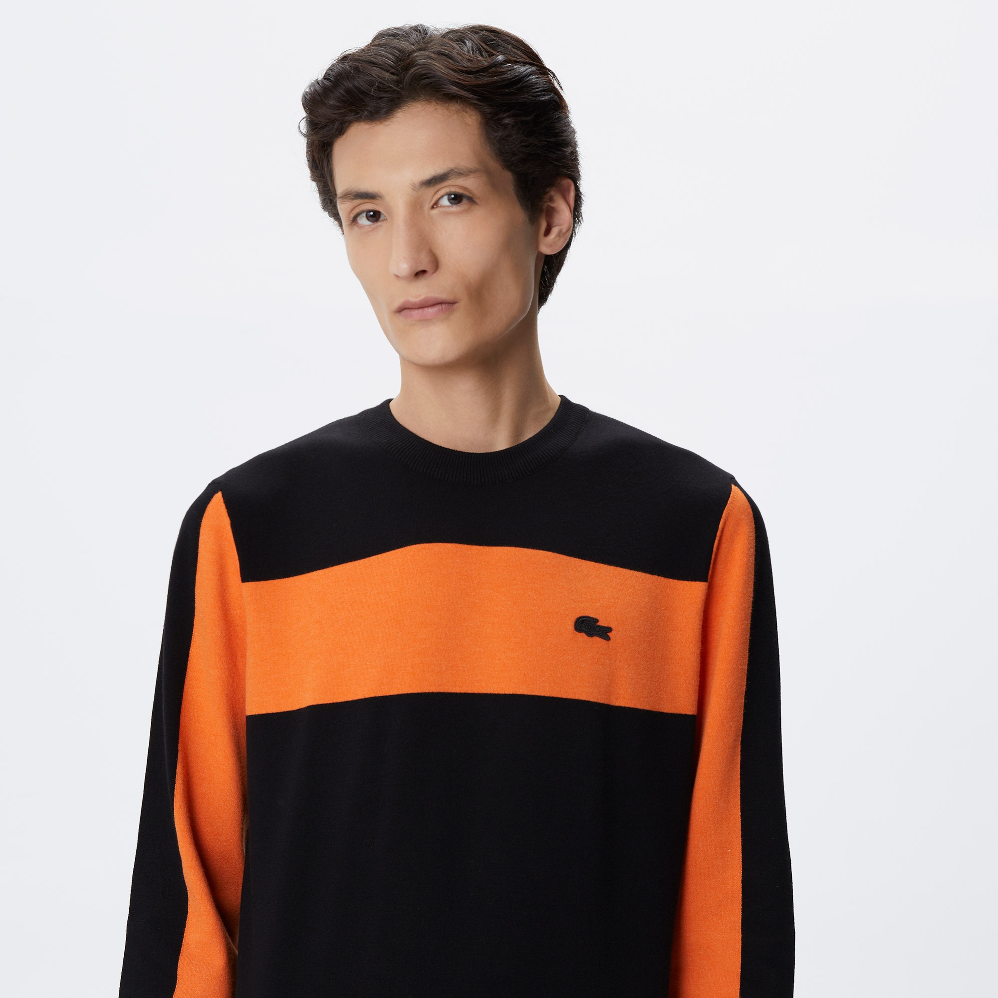 Lacoste Erkek Regular Fit Uzun Kollu Bisiklet Yaka Renk Bloklu Siyah Triko