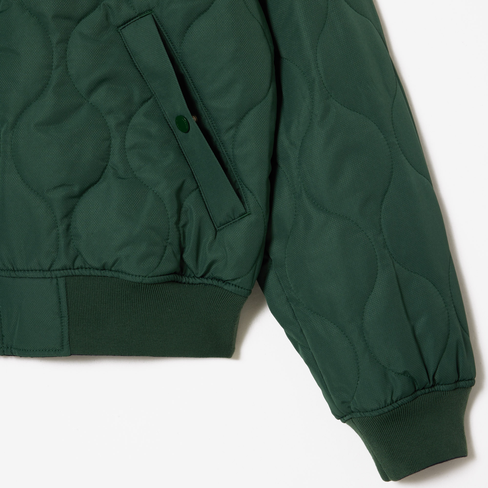 Lacoste Erkek Hakim Yaka Kapitone Siyah Mont