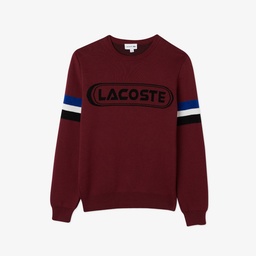 Erkek Regular Fit Bisiklet Yaka Renk Bloklu Beyaz Triko Beyaz