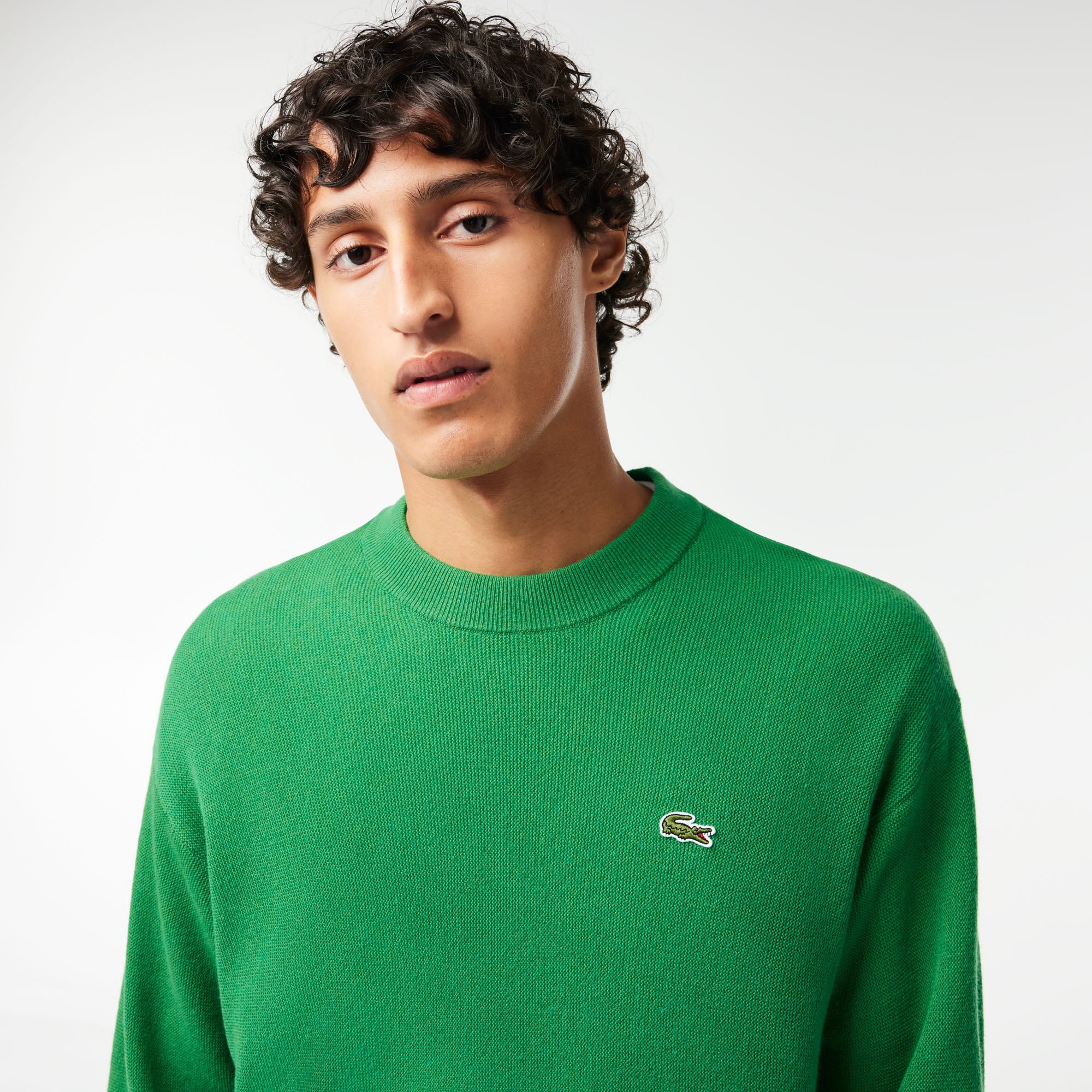 Lacoste Erkek Relaxed Fit Uzun Kollu Bisiklet Yaka Yeşil Triko