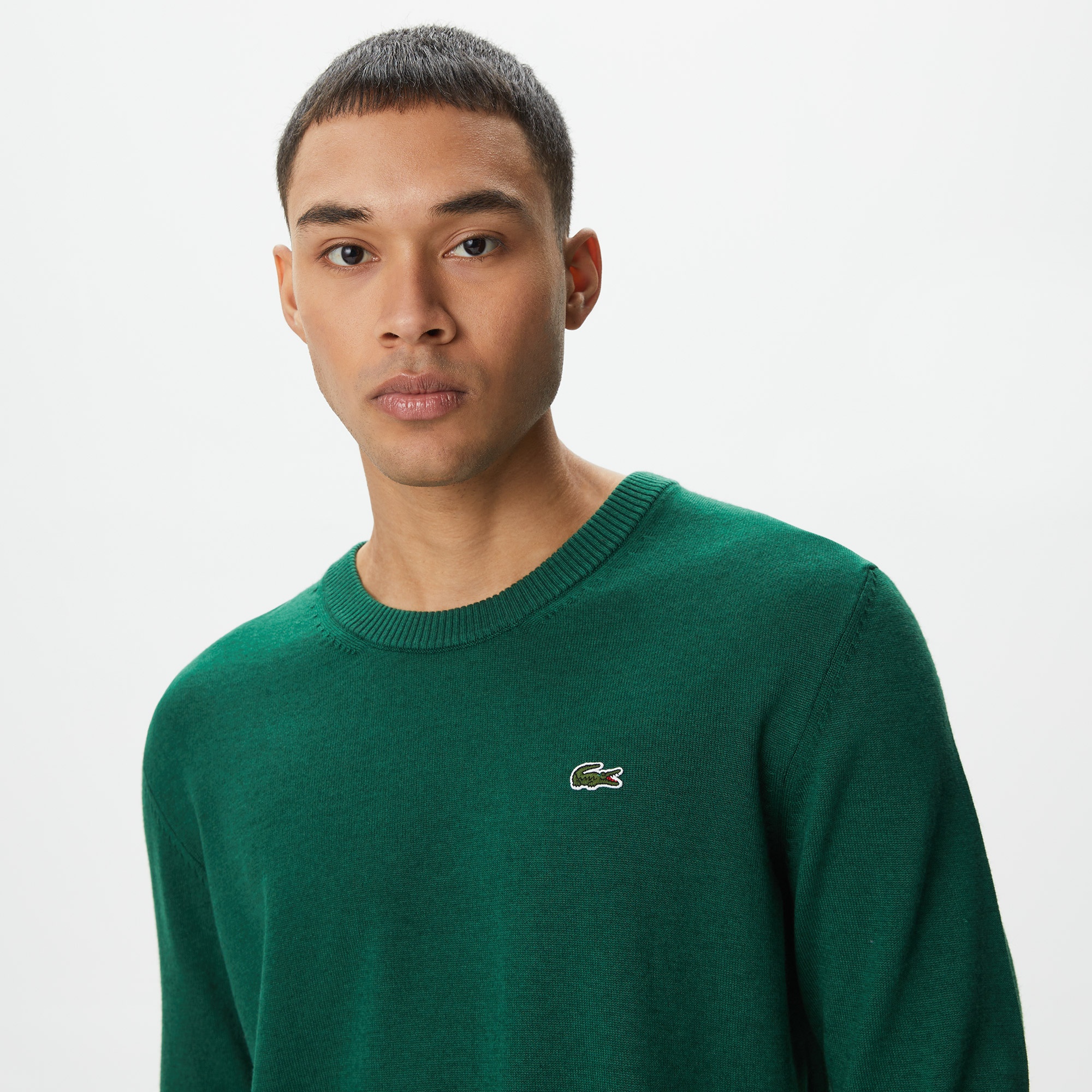 Lacoste Erkek Regular Fit Bisiklet Yaka Yeşil Triko