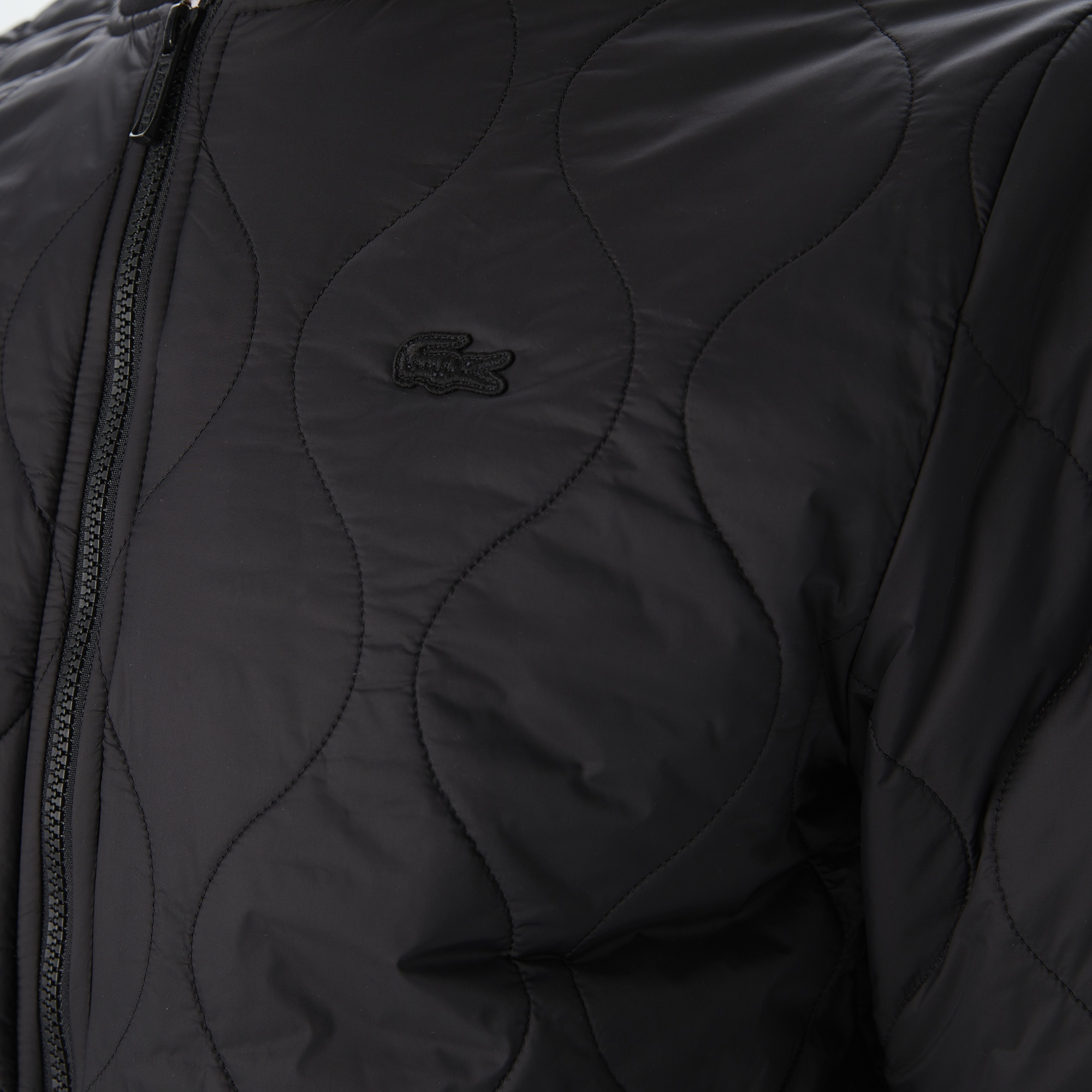 Lacoste Erkek Dik Yaka Kapitone Siyah Mont