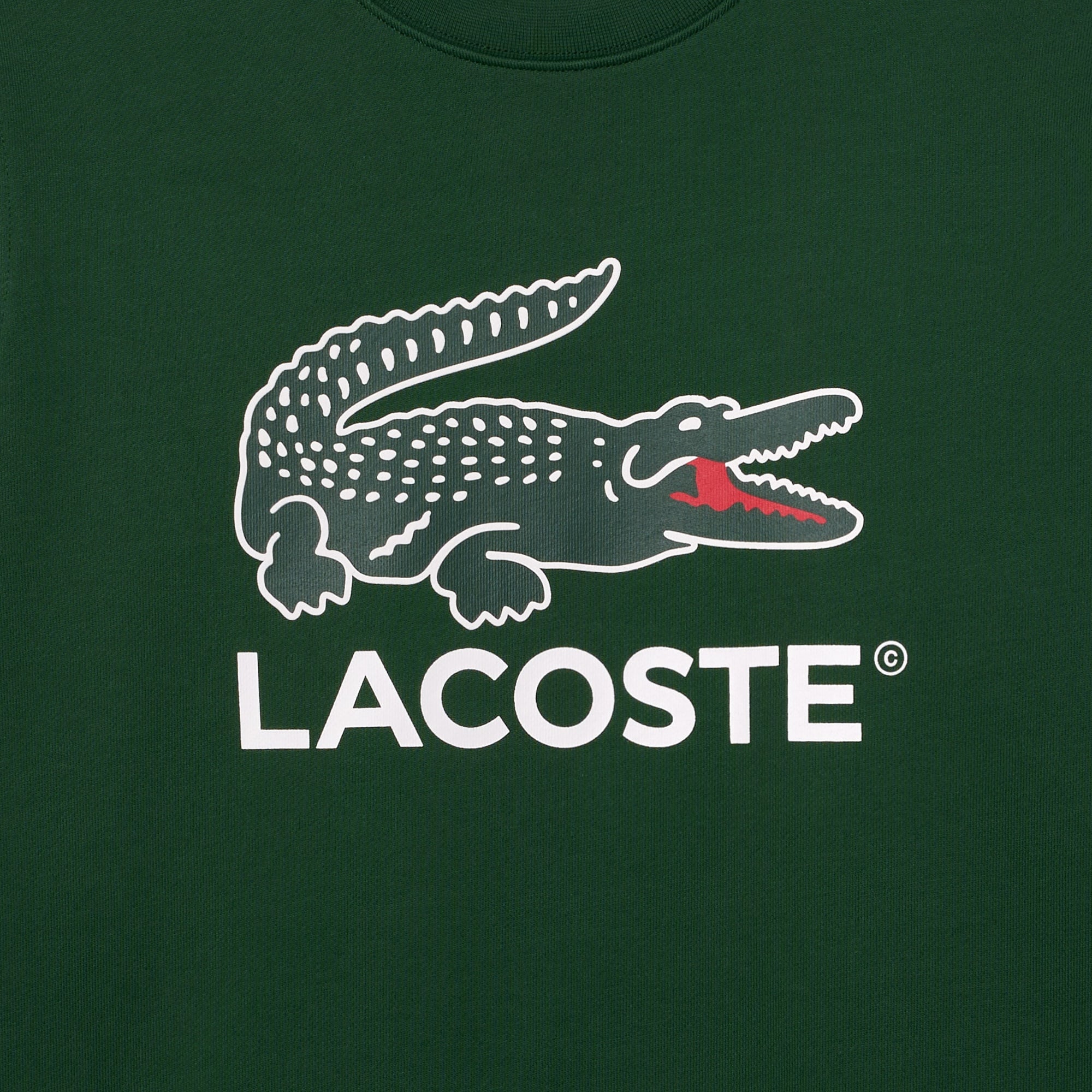 Lacoste Erkek Classic Fit Bisiklet Yaka Baskılı Yeşil Sweatshirt