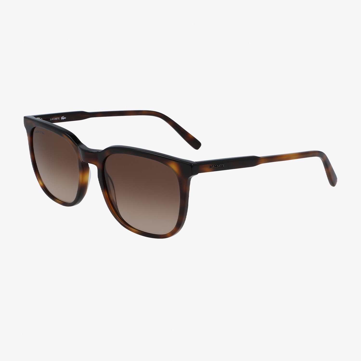 Lacoste Erkek Kahverengi Güneş Gözlüğü
