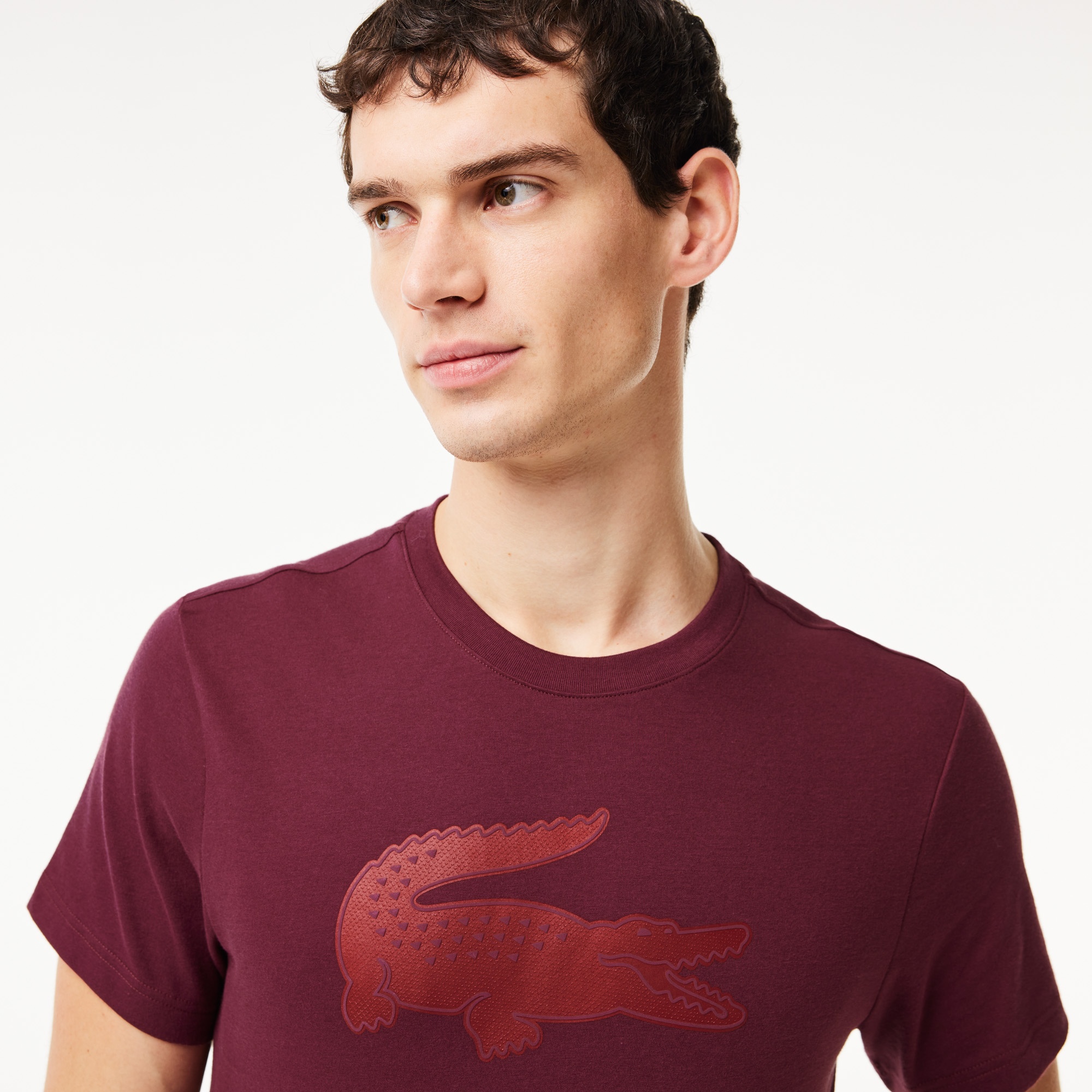 Lacoste Erkek Regular Fit Bisiklet Yaka Baskılı Bordo T-Shirt