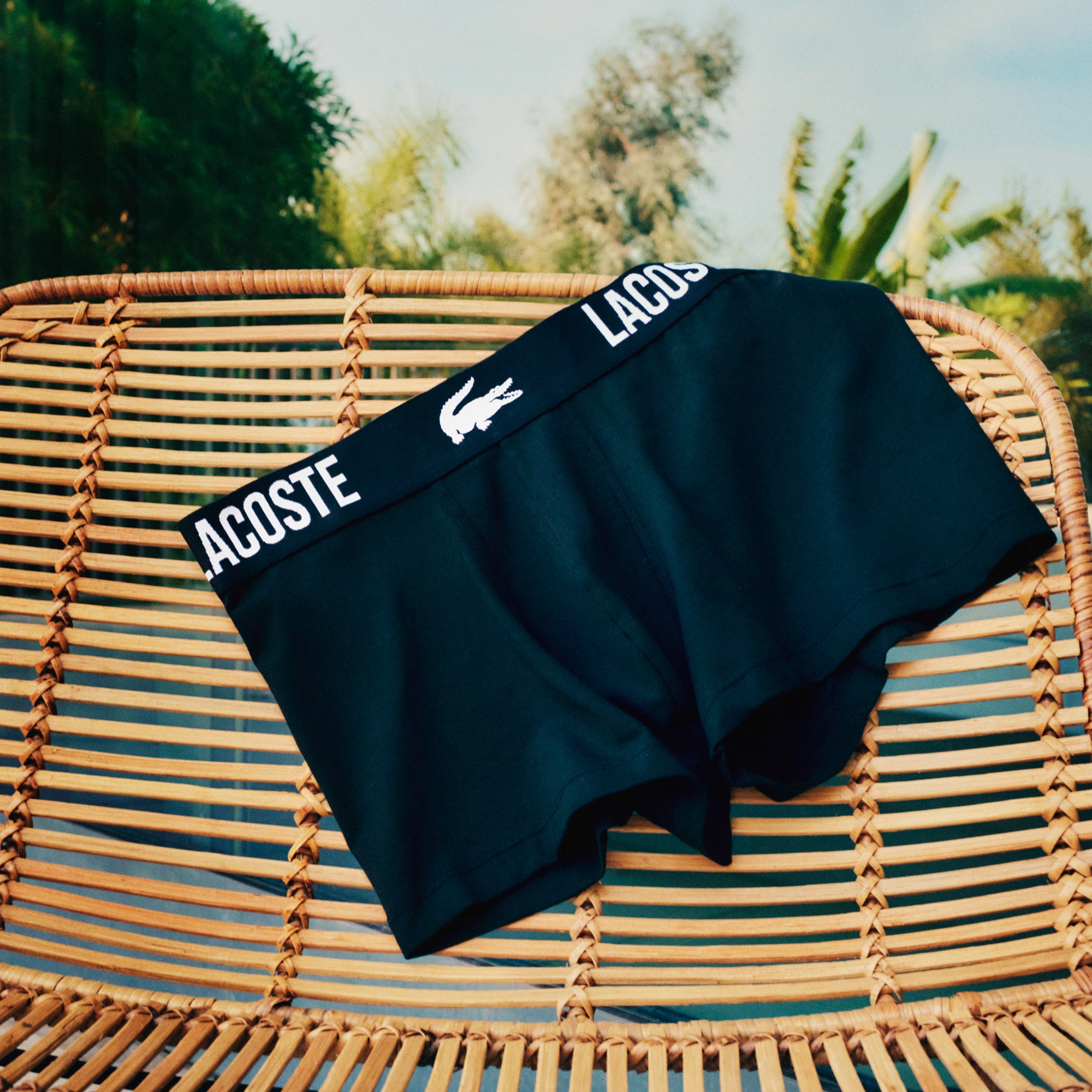 Erkek 3'lü Renkli Boxer