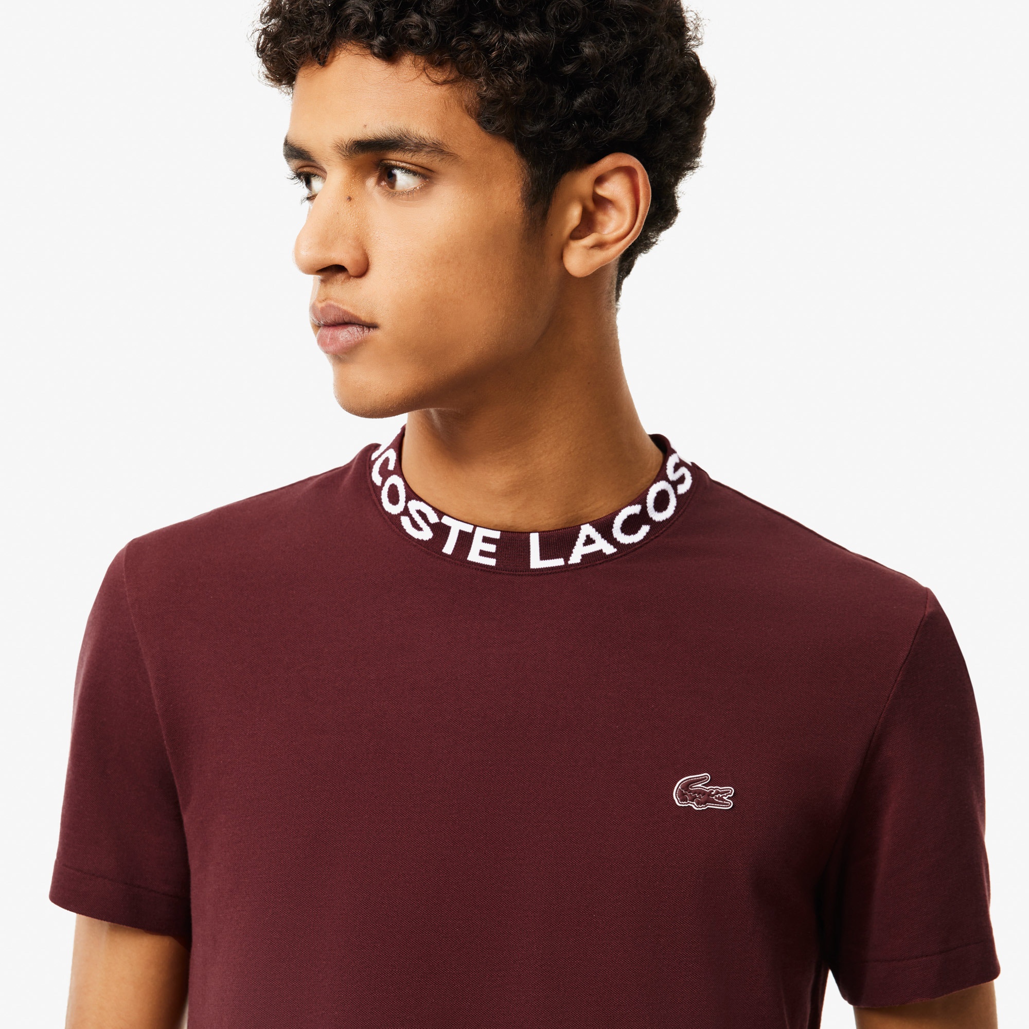 Lacoste Active Erkek Regular Fit Bisiklet Yaka Bordo T-Shirt