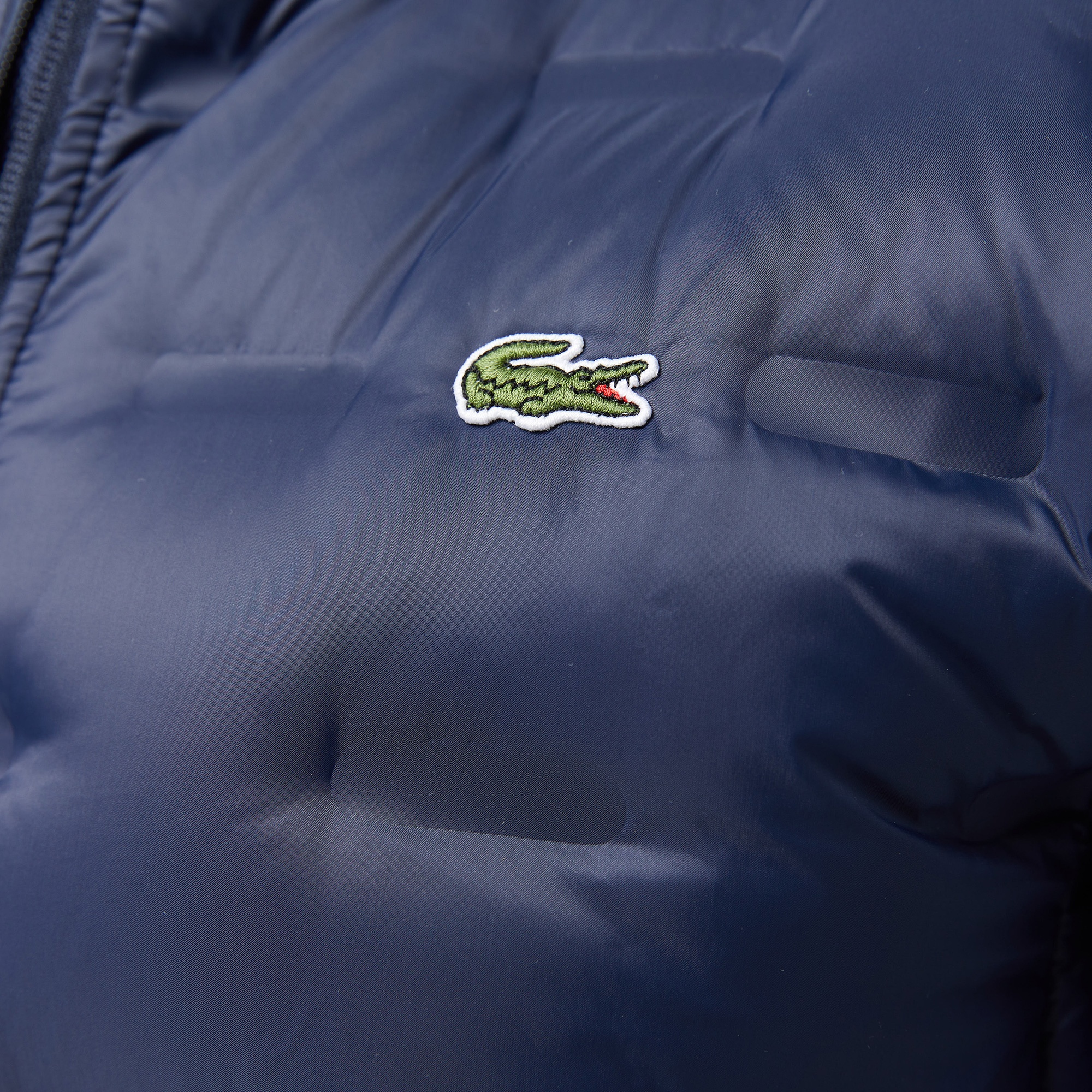 Lacoste Erkek Regular Fit Kapüşonlu Kapitone Lacivert Mont