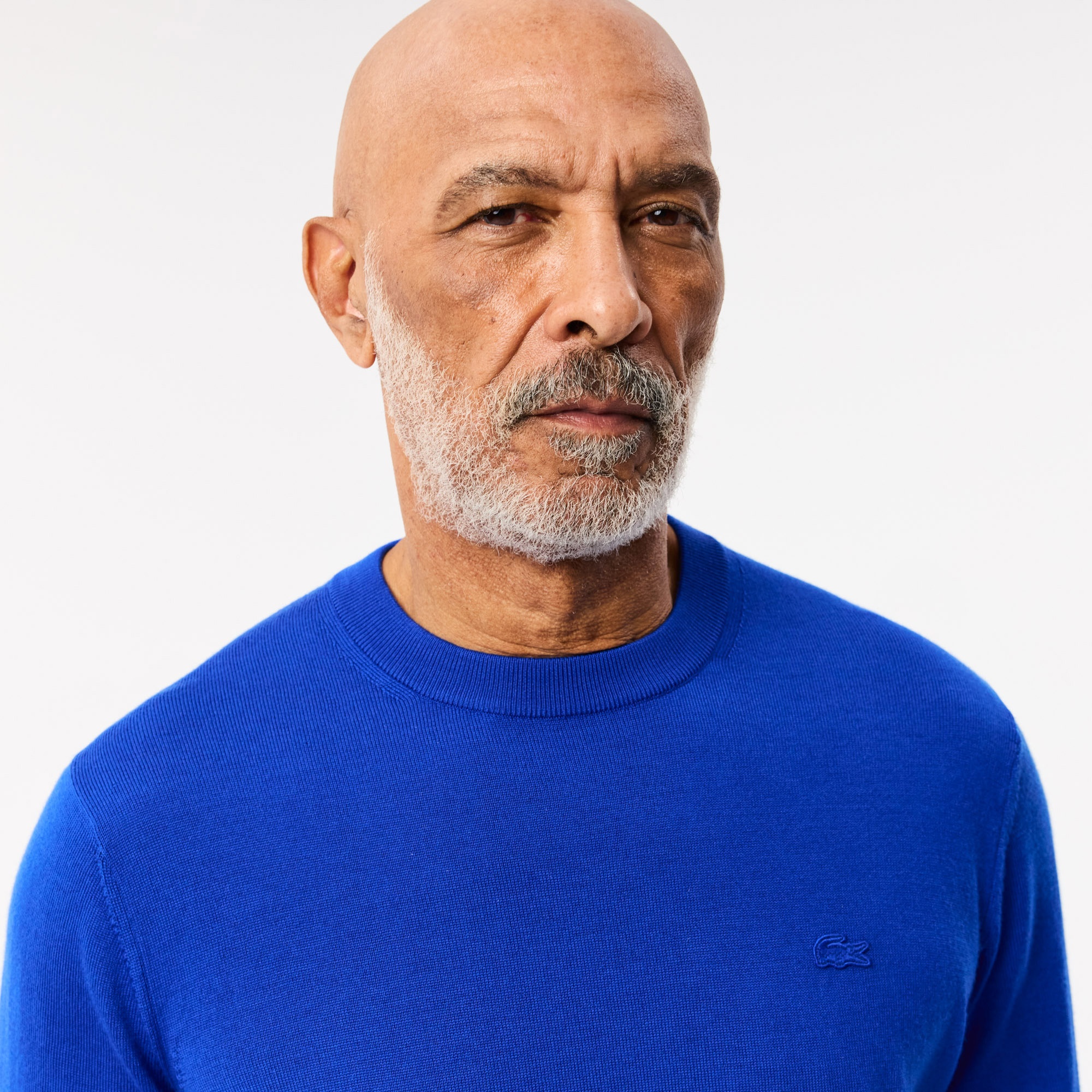 Lacoste Erkek Regular Fit Bisiklet Yaka Yün Mavi Triko