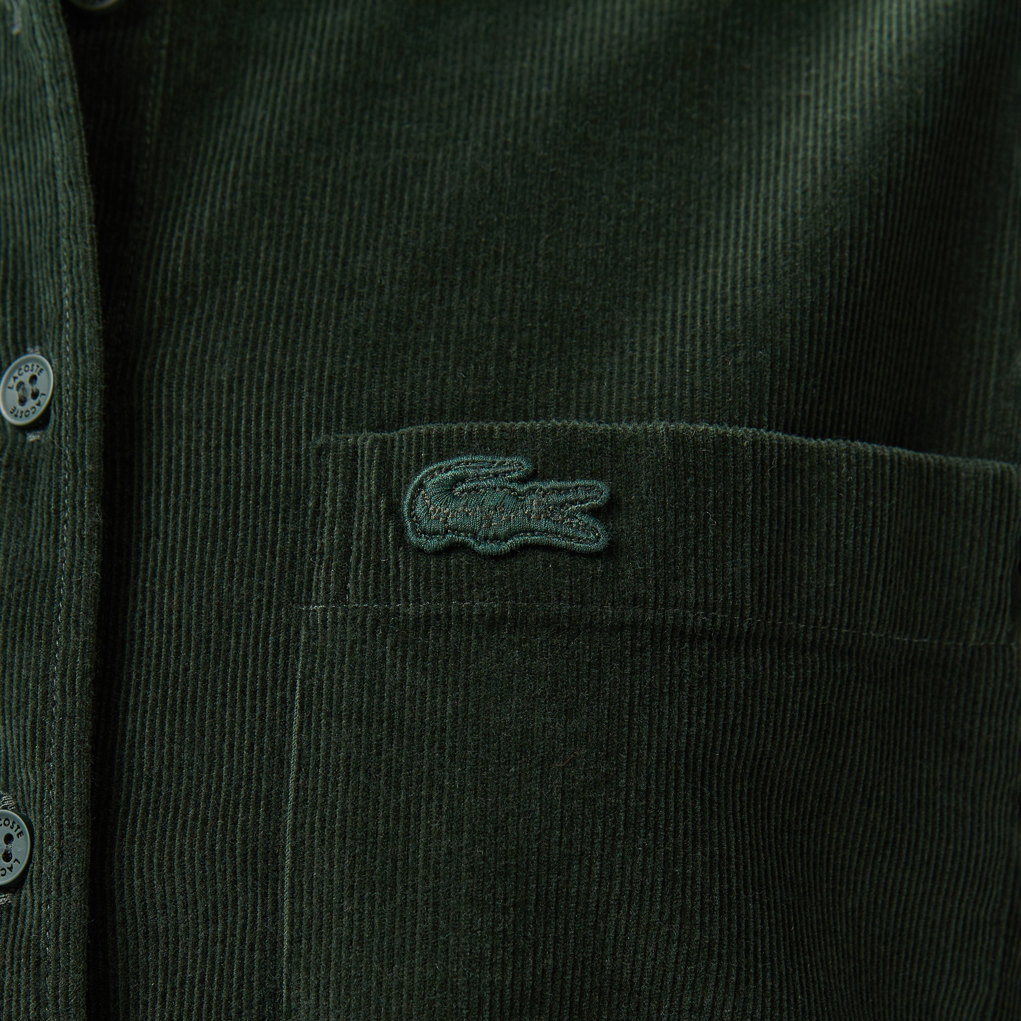 Lacoste Kadın Relaxed Fit Koyu Yeşil Gömlek