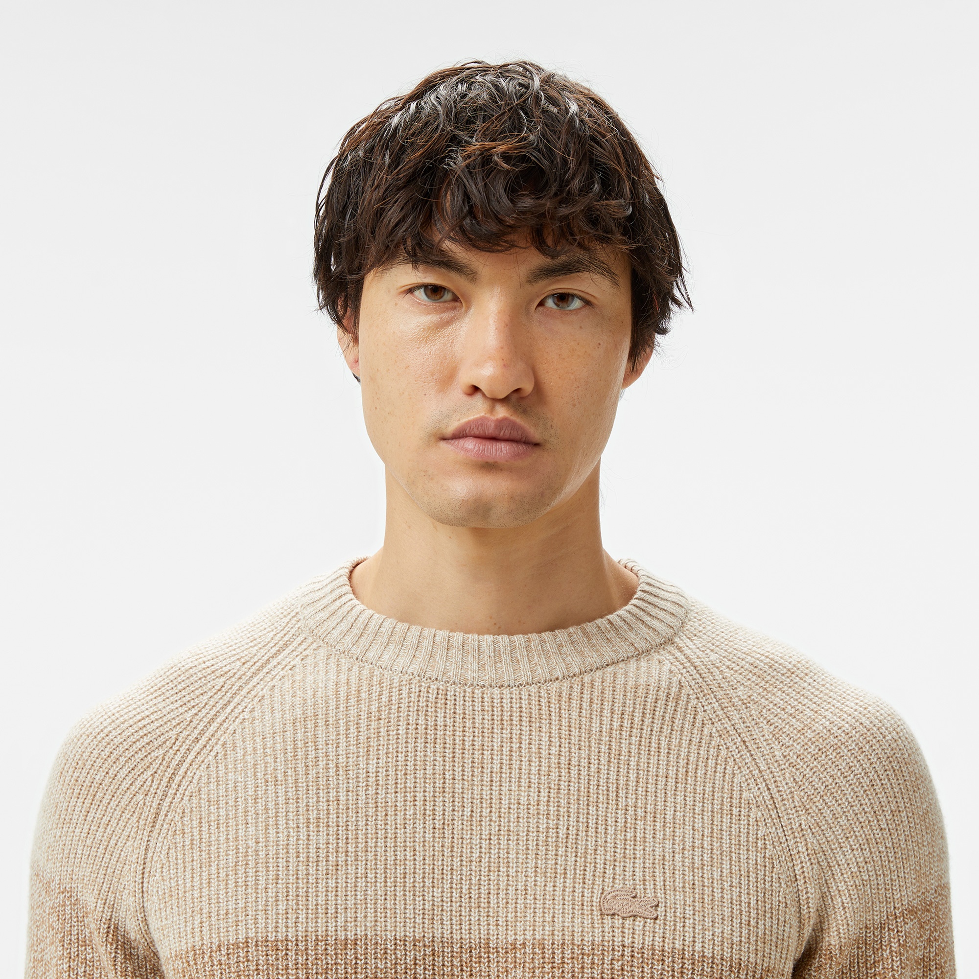 Lacoste Erkek Relaxed Fit Bisiklet Yaka Renk Bloklu Bej Kazak