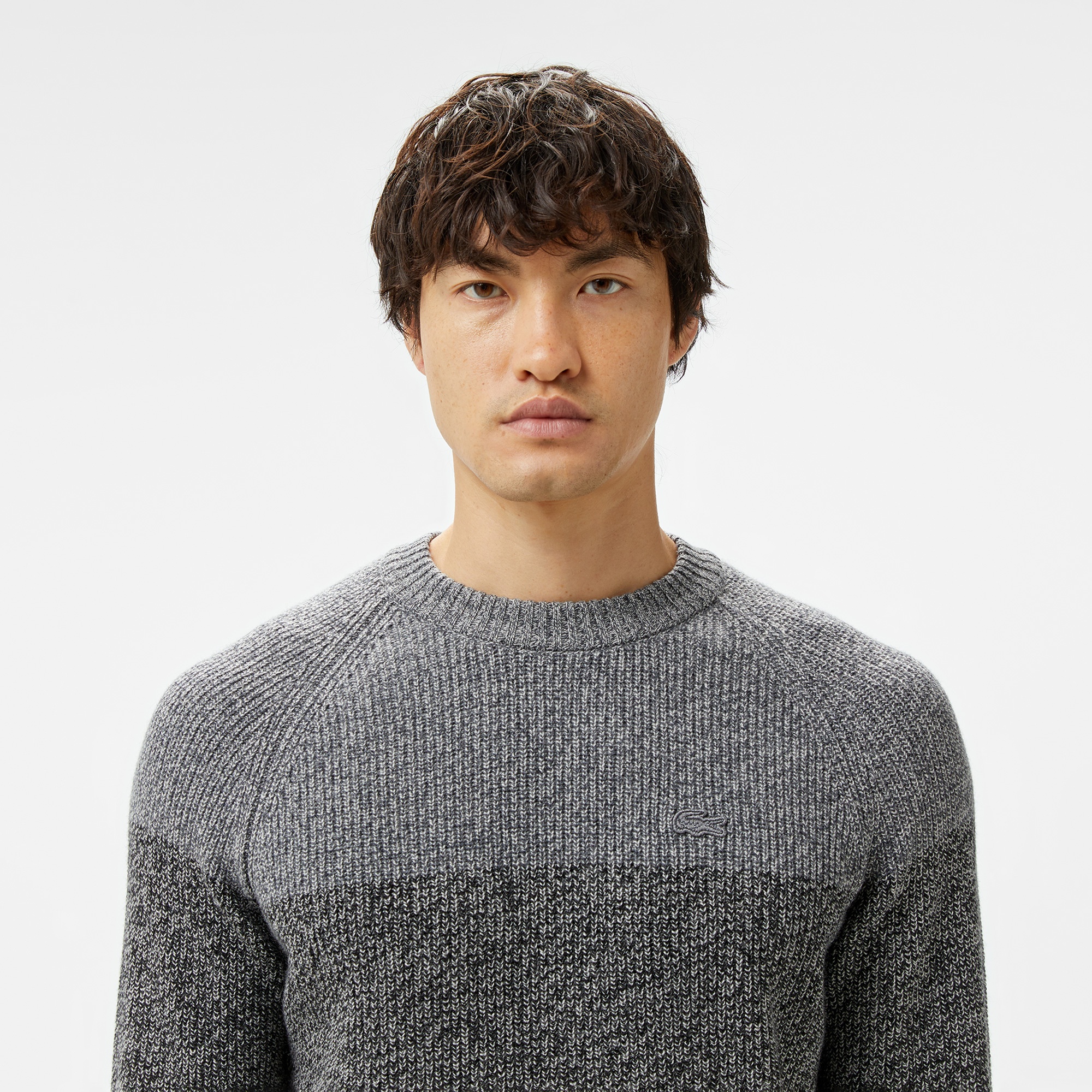 Lacoste Erkek Relaxed Fit Bisiklet Yaka Renk Bloklu Gri Kazak