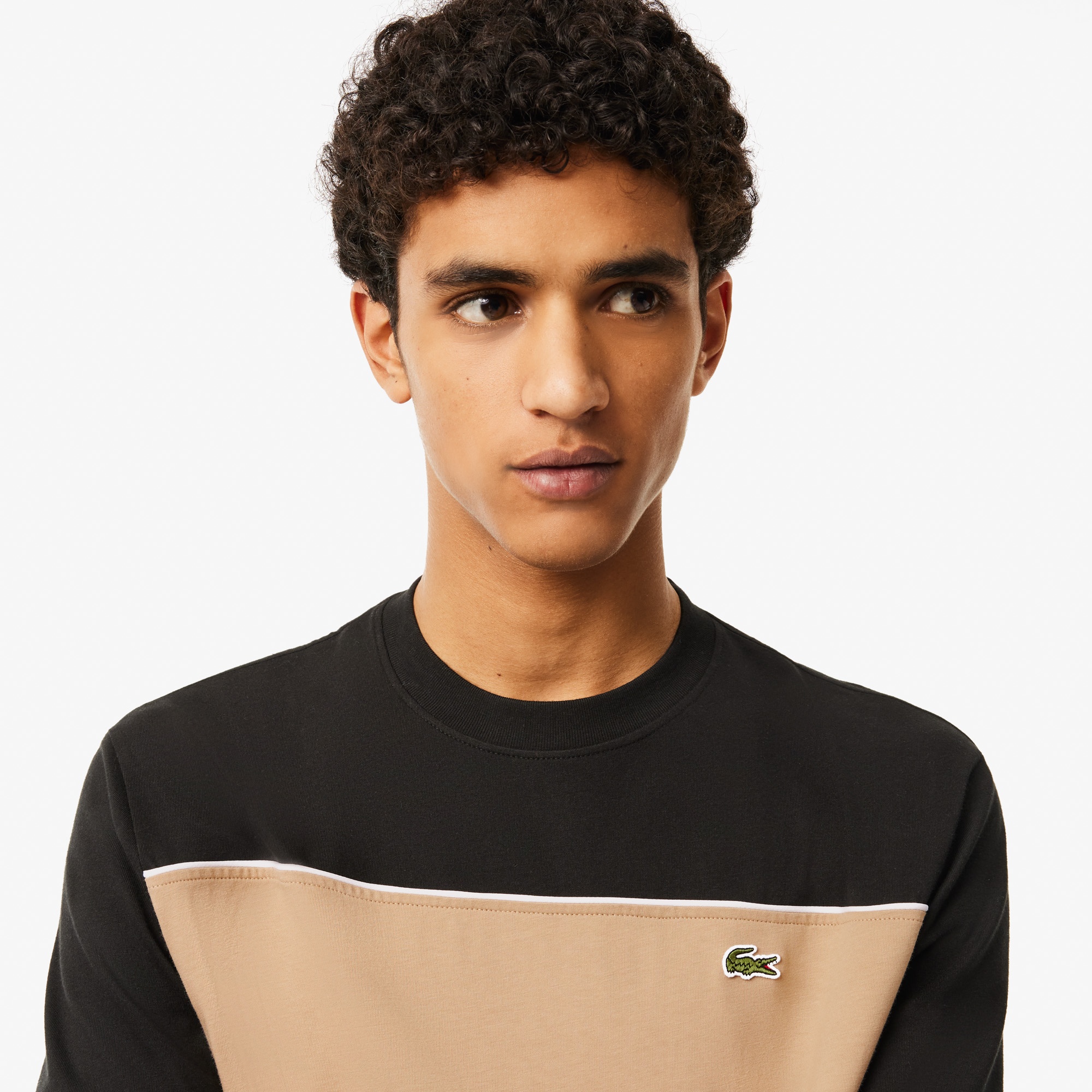 Lacoste Erkek Classic Fit Bisiklet Yaka Renk Bloklu Siyah T-Shirt