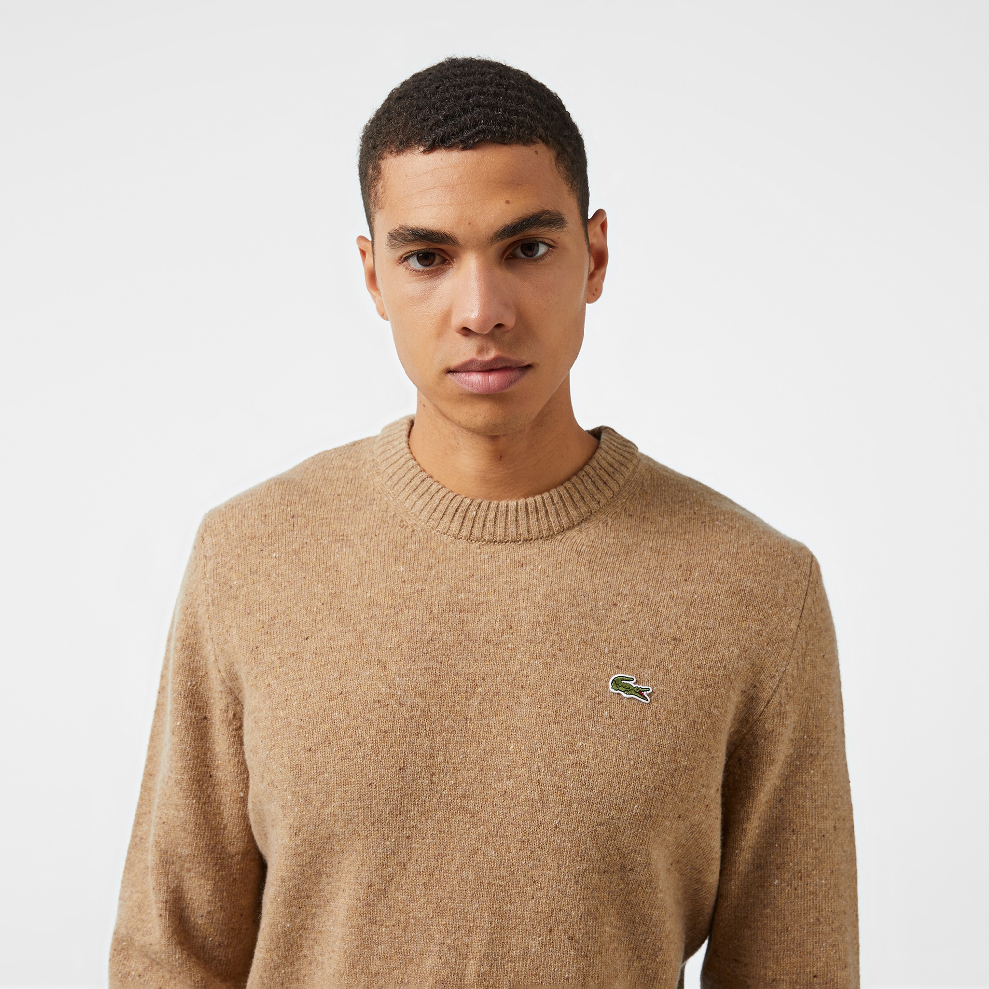 Lacoste Erkek Regular Fit Bisiklet Yaka Kahverengi Triko