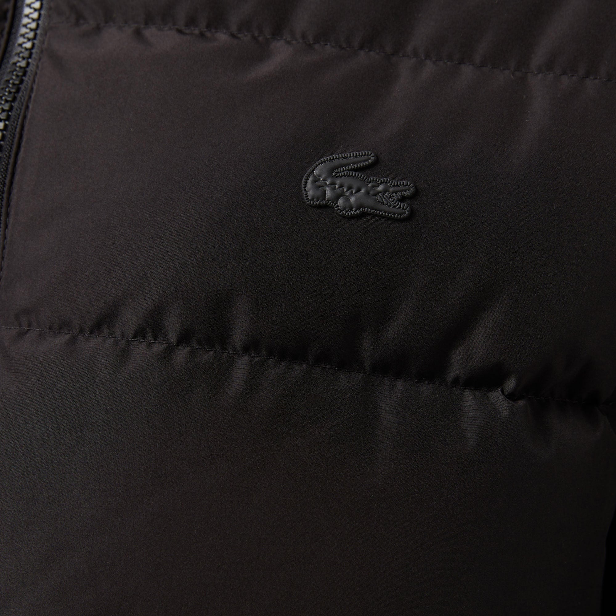 Lacoste Erkek Regular Fit Kapüşonlu Siyah Şişme Mont