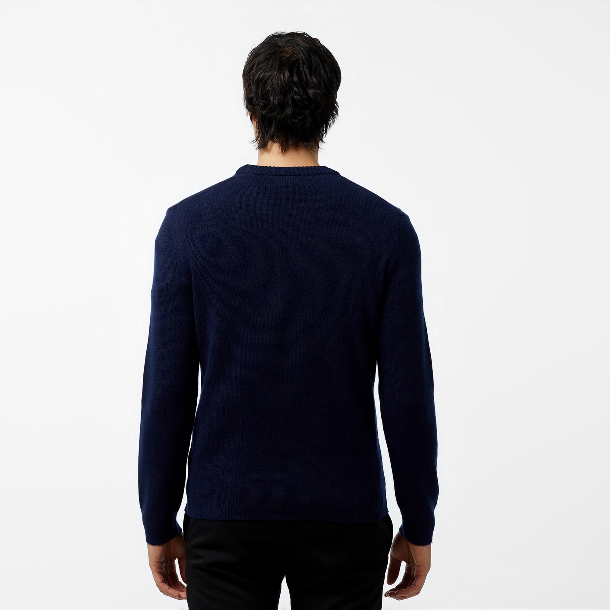 Lacoste Erkek Regular Fit Bisiklet Yaka Lacivert Triko