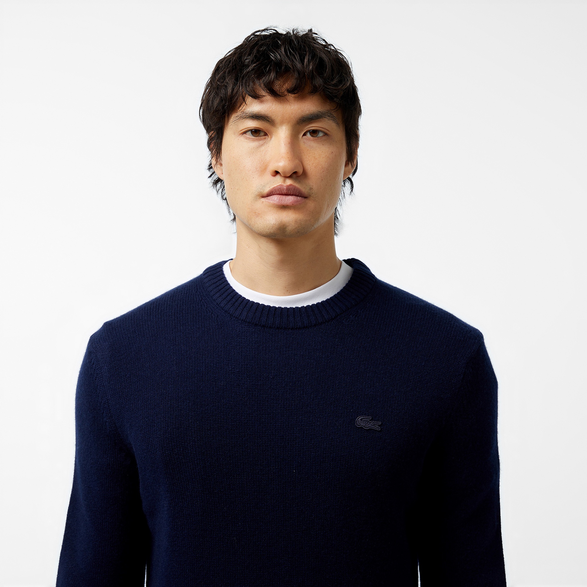 Lacoste Erkek Regular Fit Bisiklet Yaka Lacivert Triko