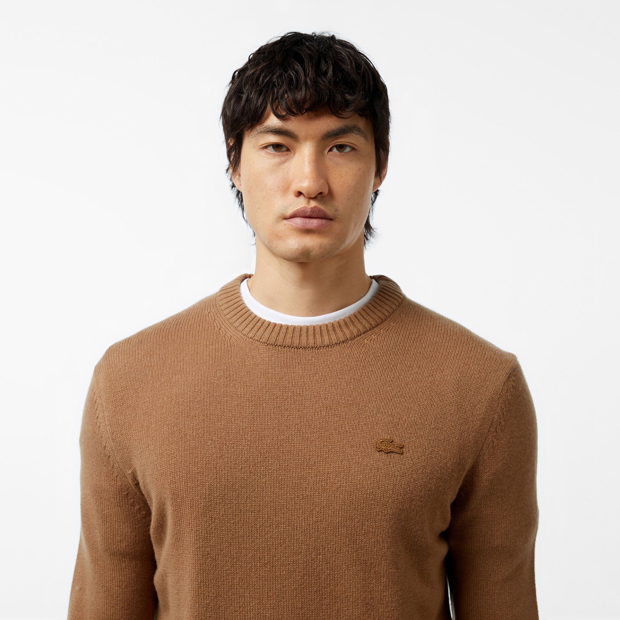 Lacoste Erkek Regular Fit Bisiklet Yaka Kahverengi Triko