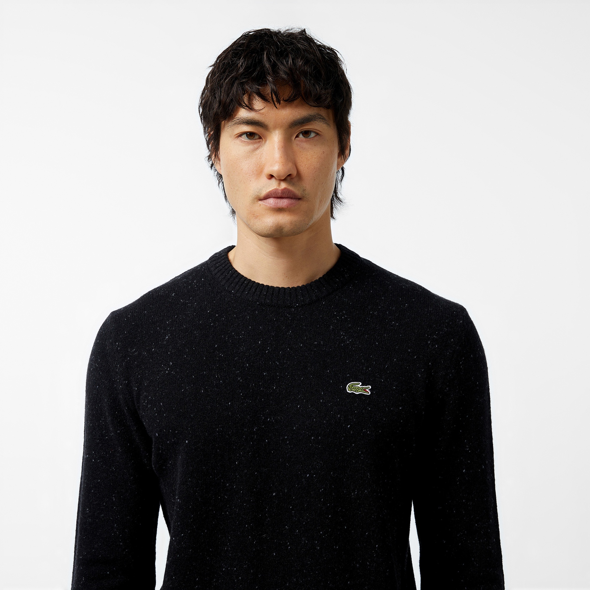 Lacoste Erkek Regular Fit Bisiklet Yaka Siyah Triko