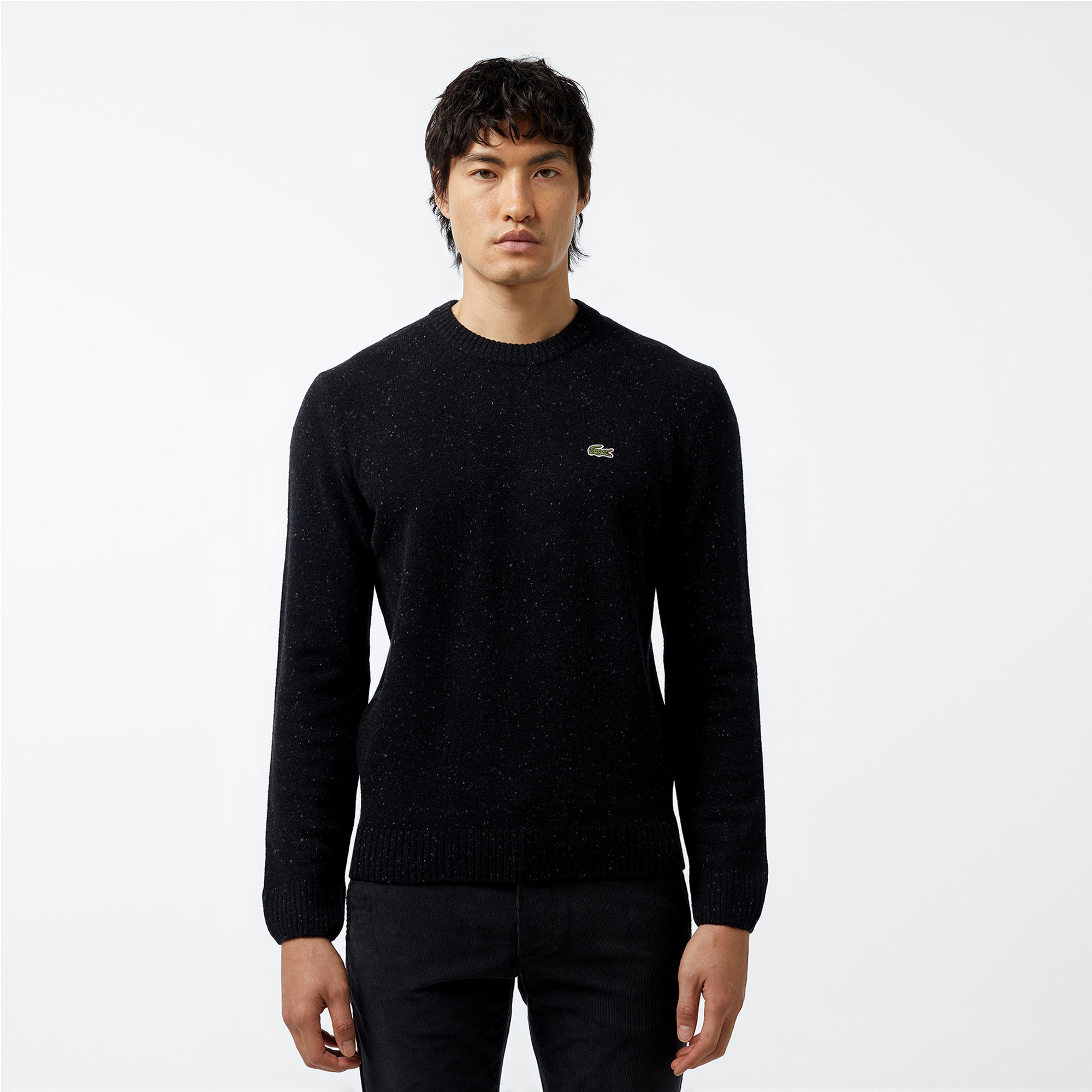 Lacoste Erkek Regular Fit Bisiklet Yaka Siyah Triko