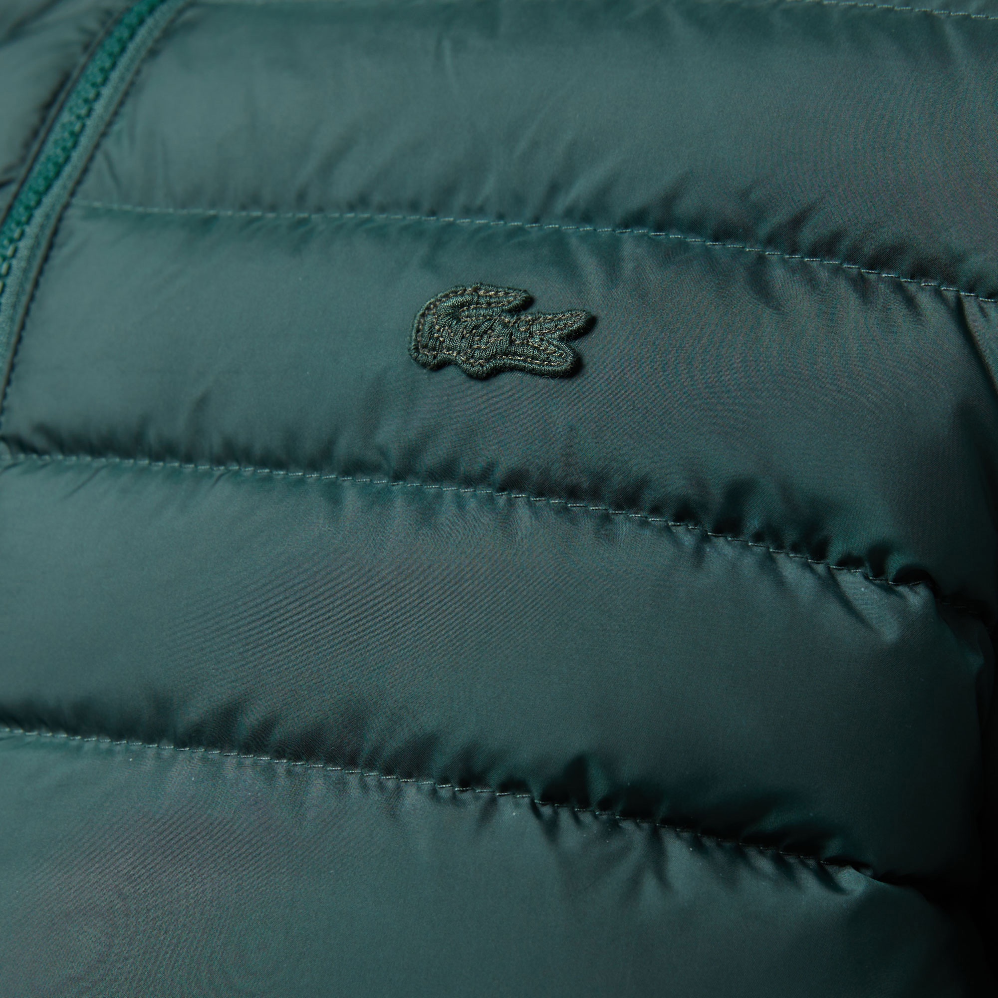 Lacoste Erkek Kapüşonlu Koyu Yeşil Mont