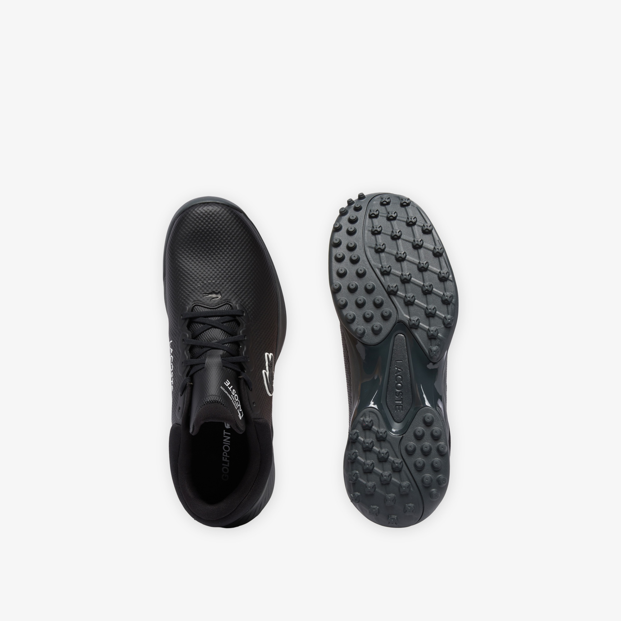 Lacoste Golf Point Erkek Siyah Sneaker