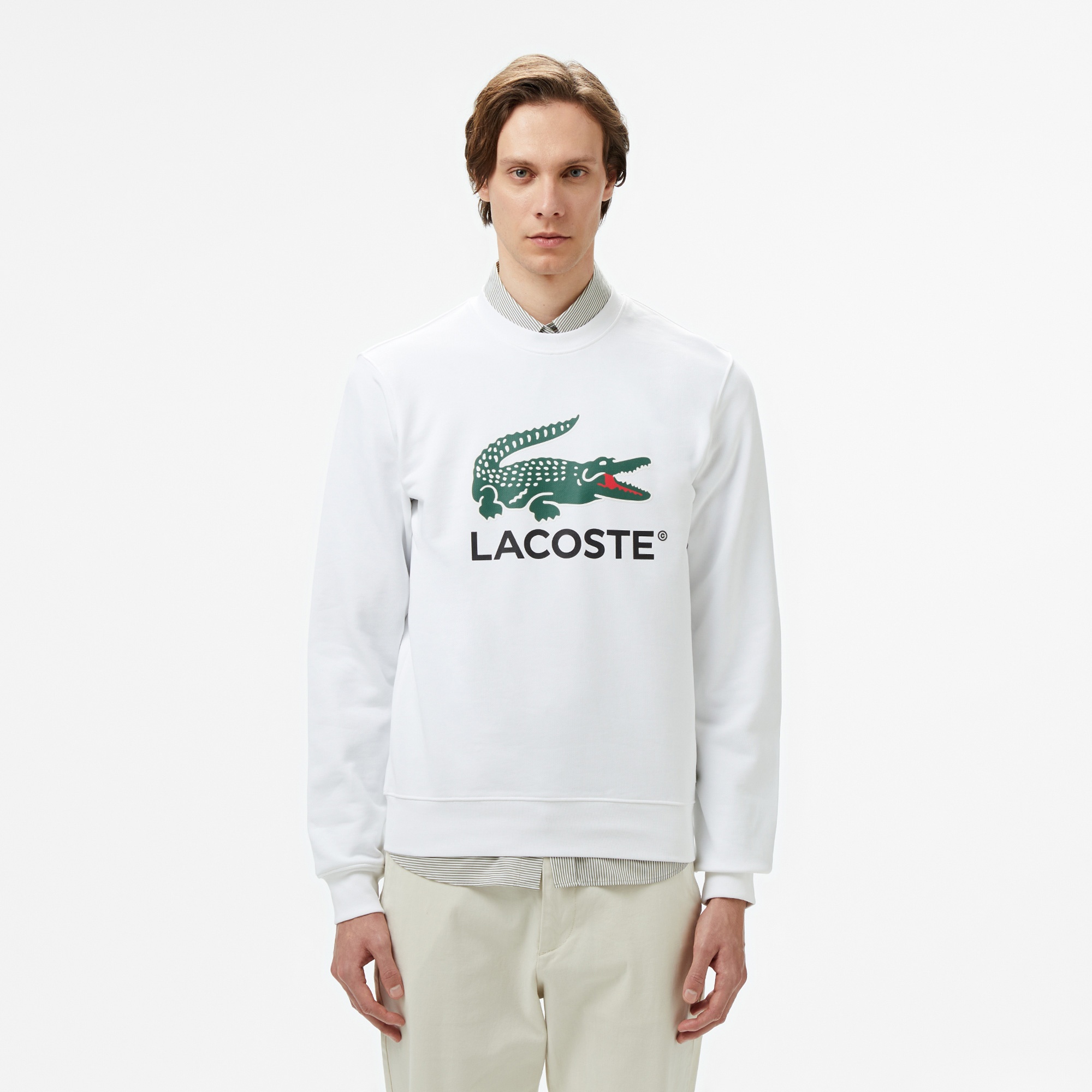 Lacoste Erkek Classic Fit Bisiklet Yaka Baskılı Beyaz Sweatshirt