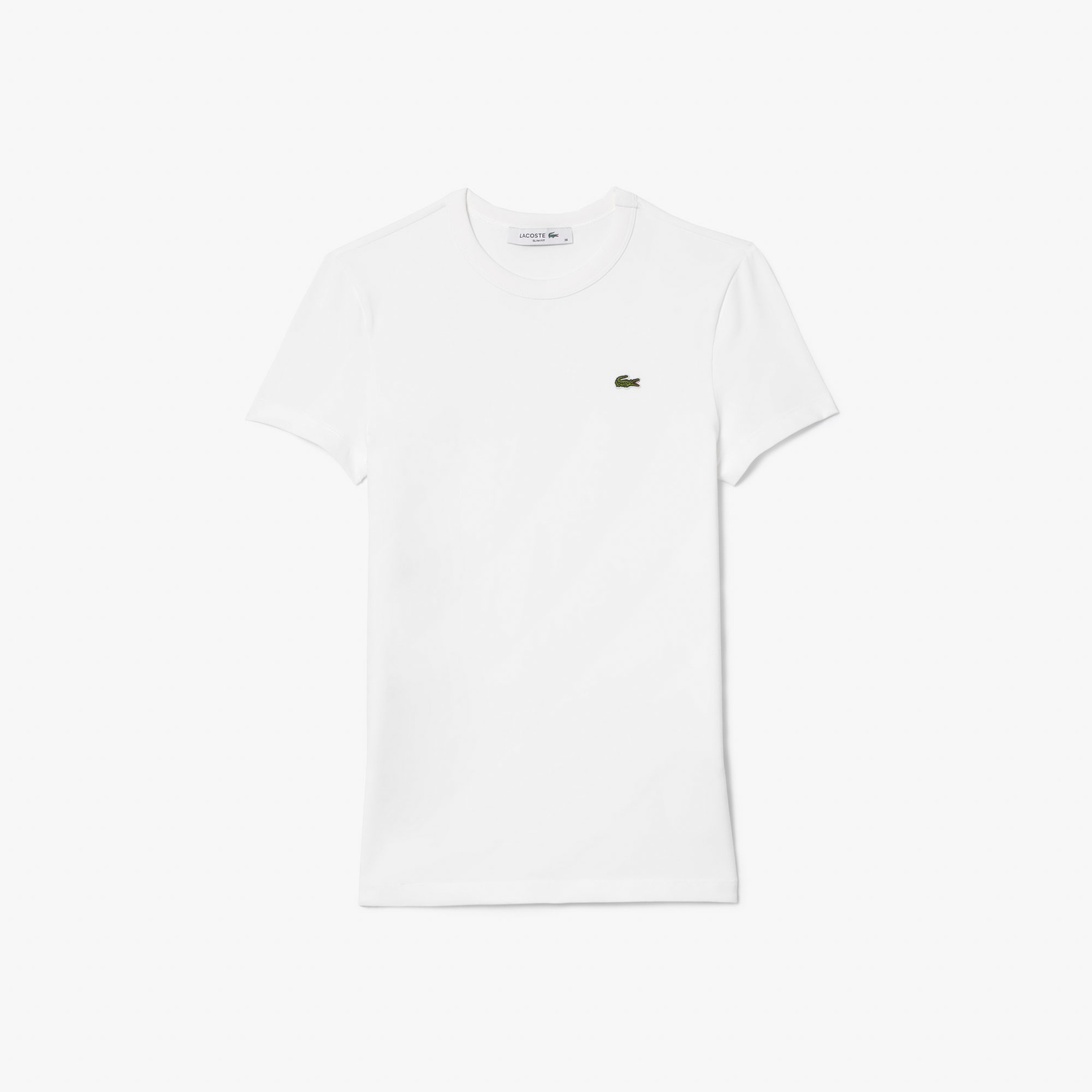 Kadın Slim Fit Bisiklet Yaka Beyaz T-Shirt