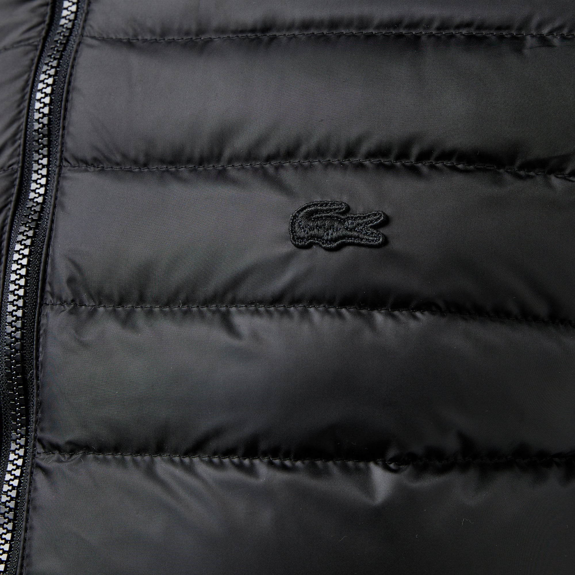 Erkek Slim Fit Kapüşonlu Siyah Mont