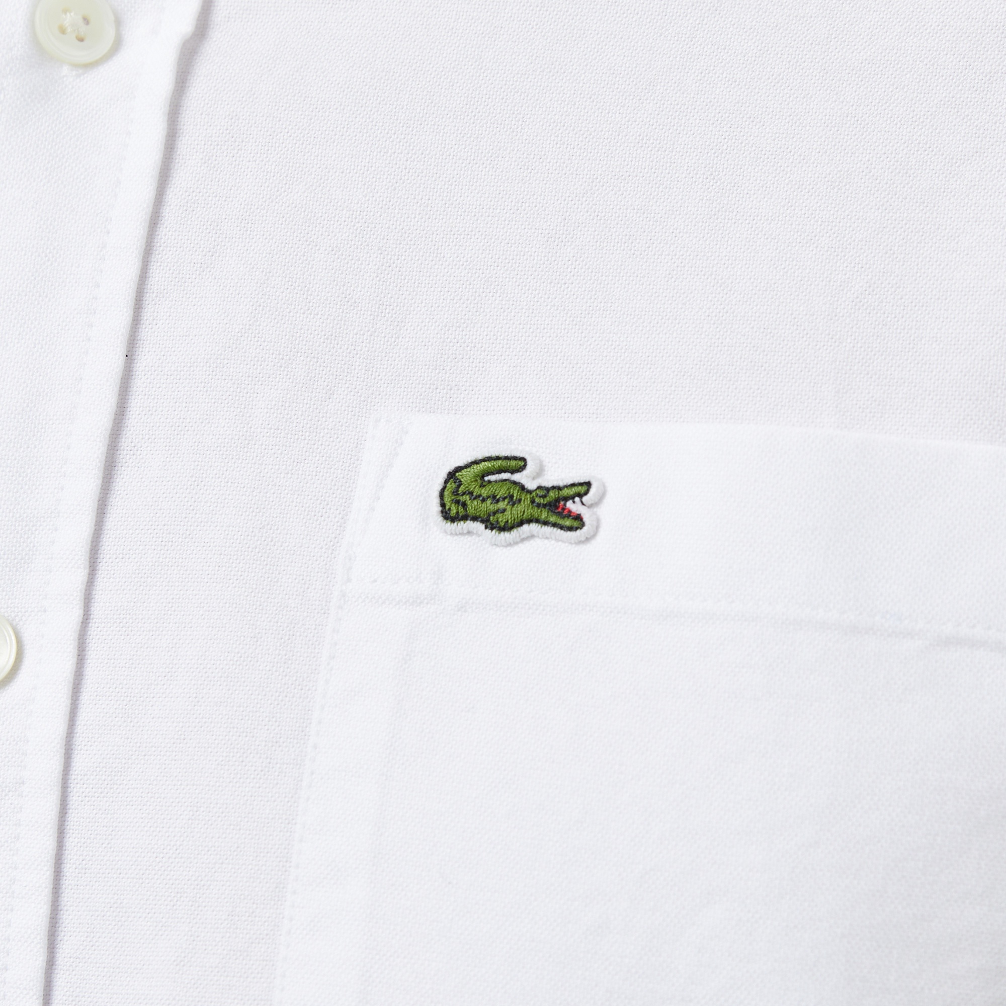 Erkek Regular Fit Düğmeli Yaka Organik Pamuk Beyaz Gömlek