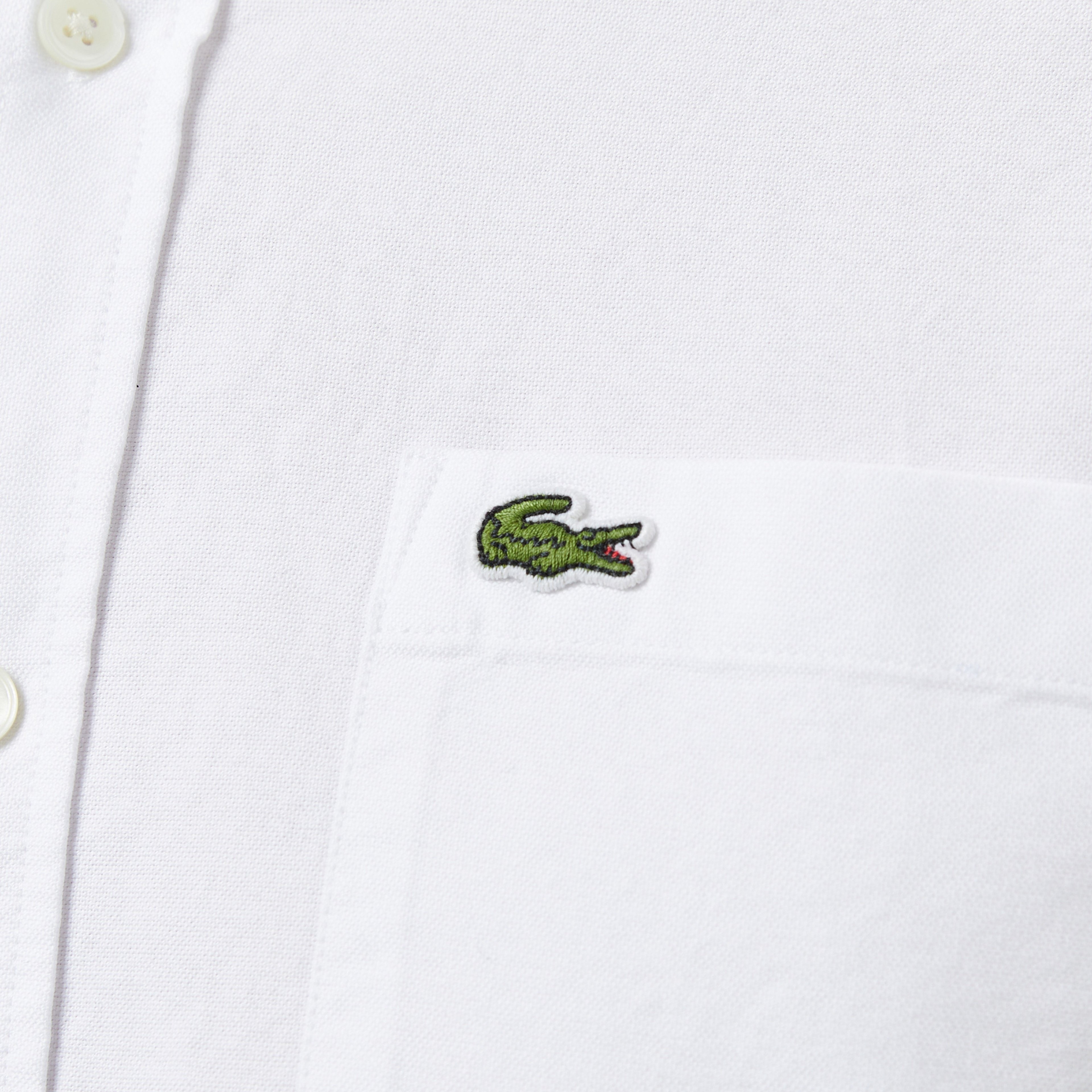 Erkek Regular Fit Düğmeli Yaka Organik Pamuk Beyaz Gömlek