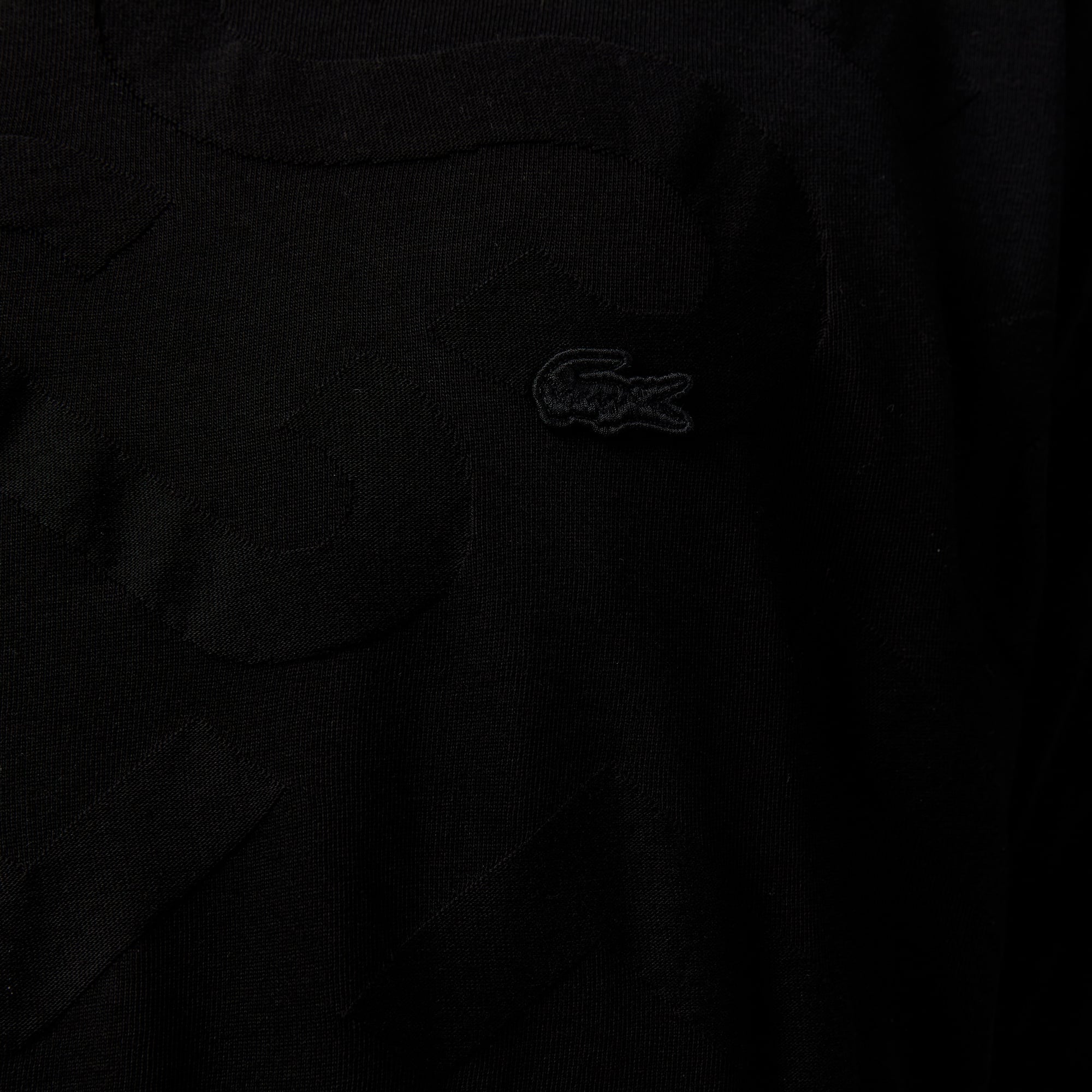 Lacoste Erkek Bisiklet Yaka Desenli Siyah T-Shirt görsel 5