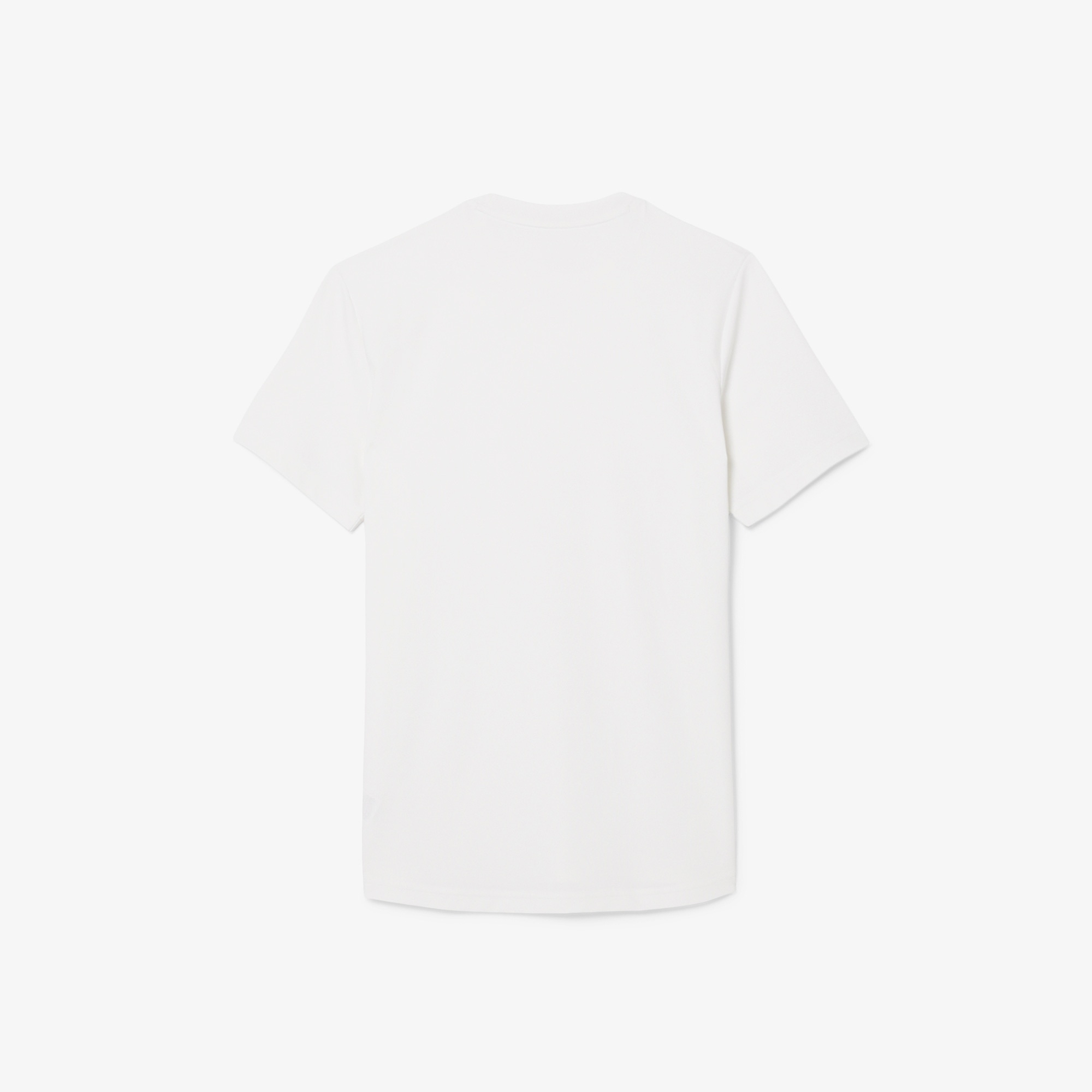 Erkek Regular Fit Bisiklet Yaka Beyaz T-Shirt