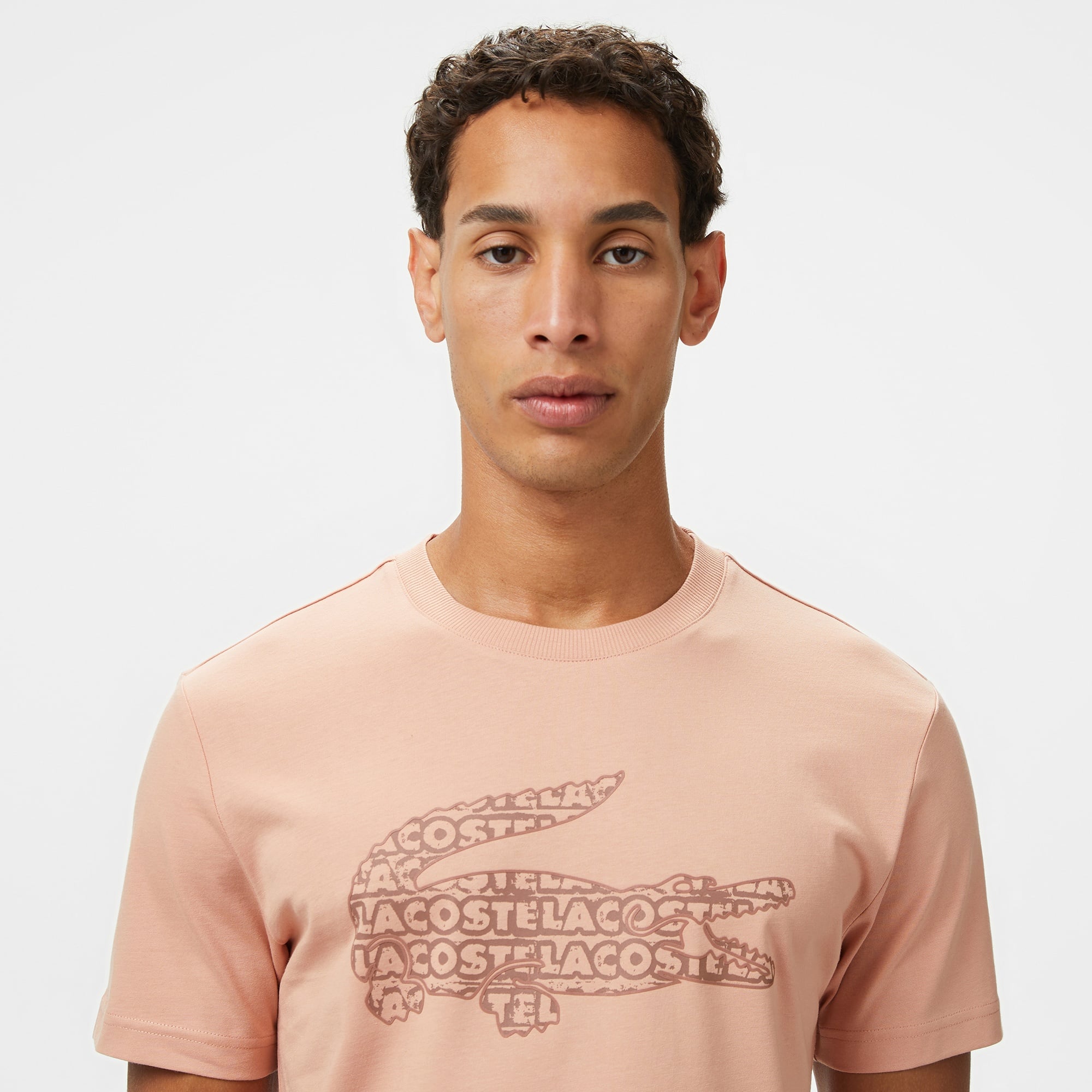 Lacoste Erkek Regular Fit Bisiklet Yaka Baskılı Açık Kahverengi T-Shirt